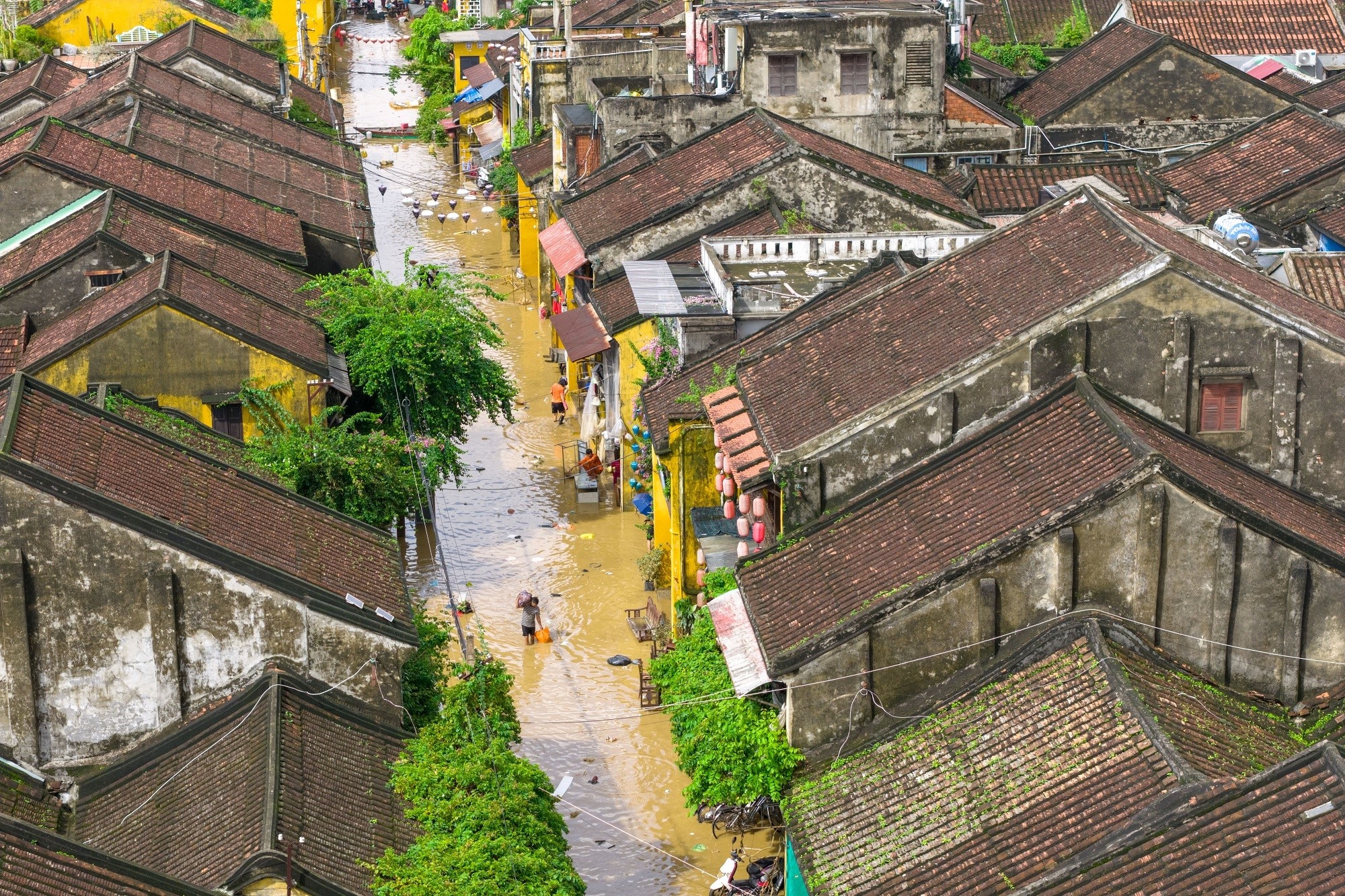 Hội An mưa lũ ảnh 7 Hoi An mua lu anh 7