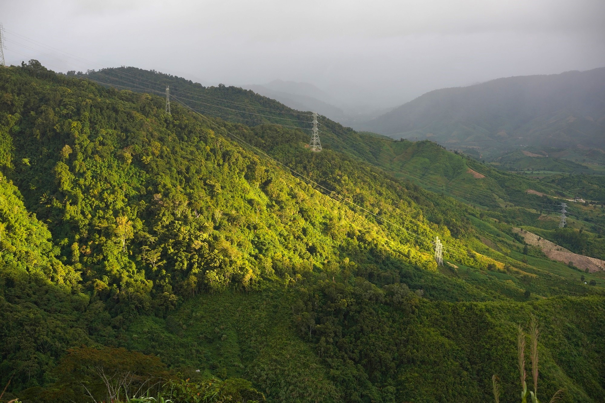 khu du lich Mang Den anh 6