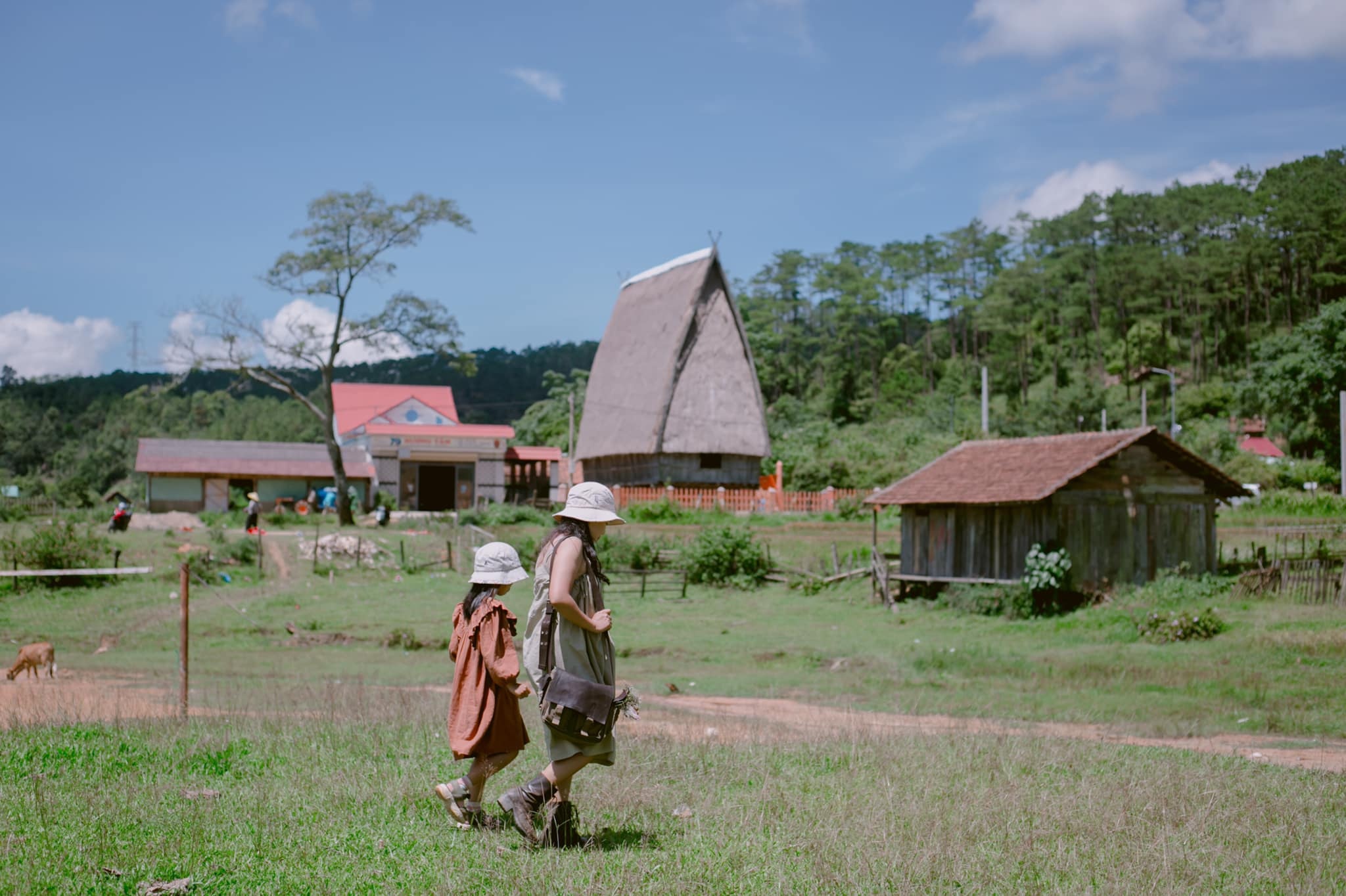 Tham vong cua Mang Den hinh anh