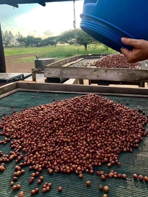 ca phe 750.000 dong anh 3