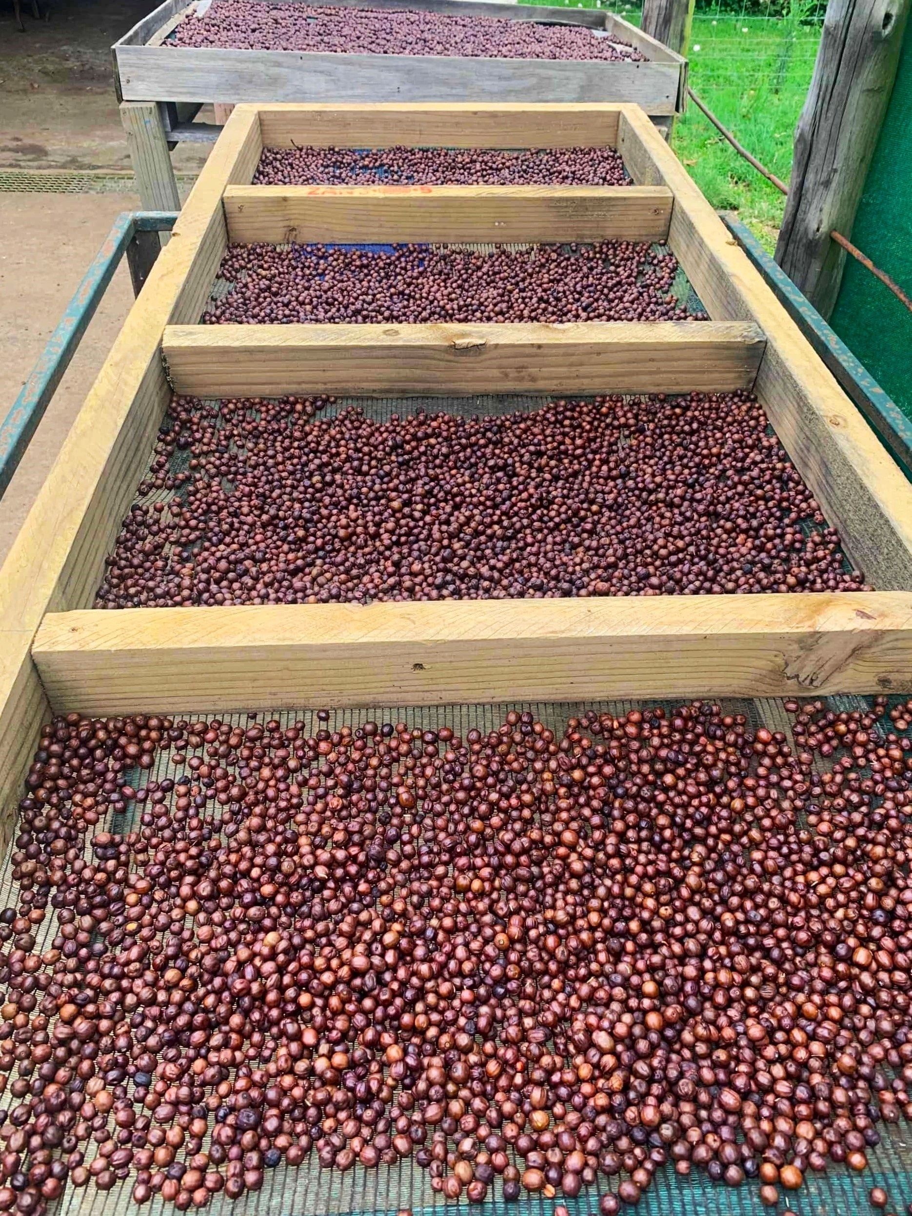 ca phe 750.000 dong anh 4