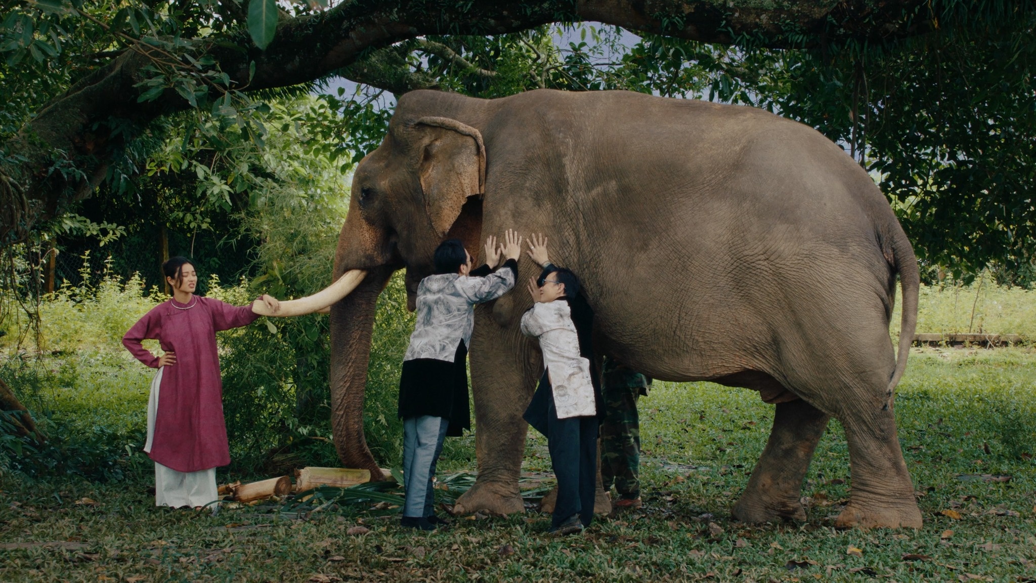 MV Muc ha vo nhan anh 10