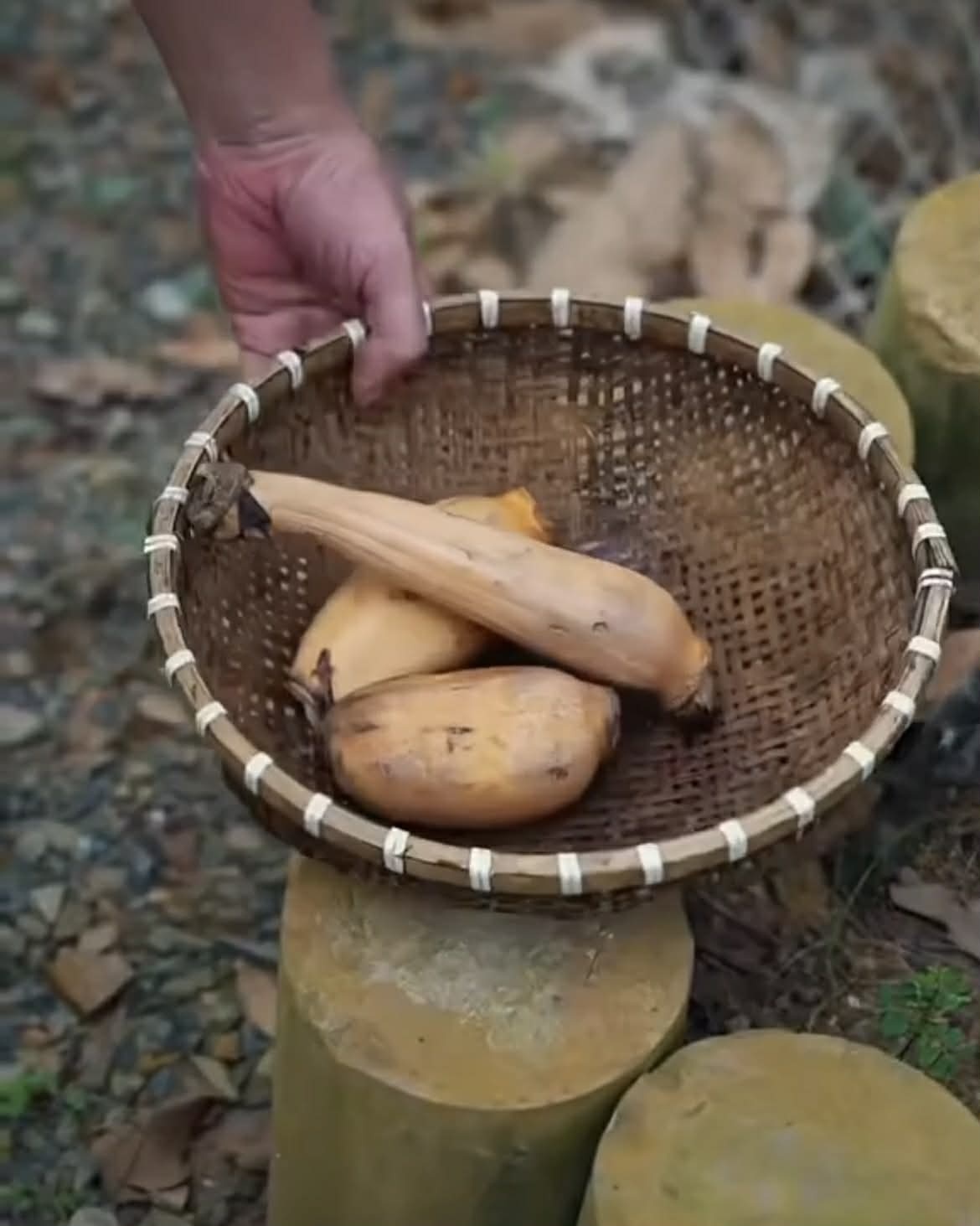 vợ chồng Hồ Quang Hiếu ảnh 5 vo chong Ho Quang Hieu anh 5