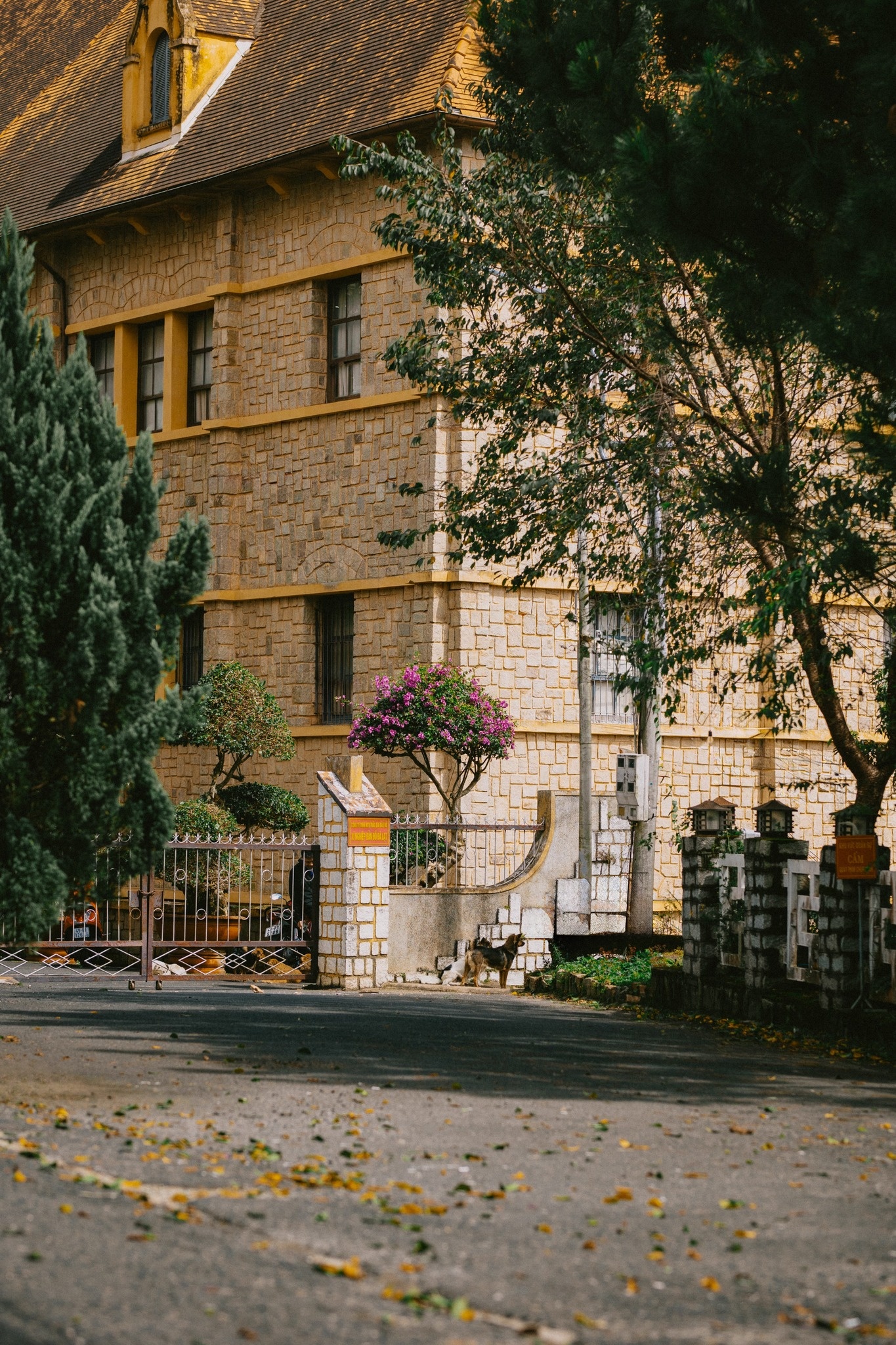 Dalat zdjęcie 9 Da Lat anh 9