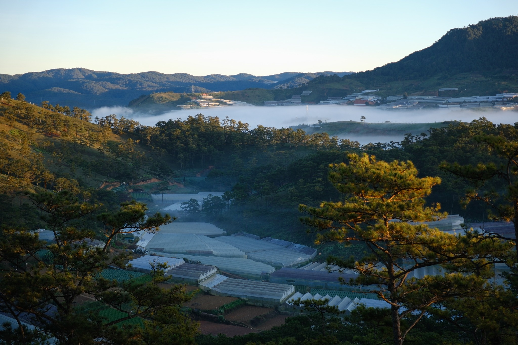 Dalat zdjęcie 10 Da Lat anh 10