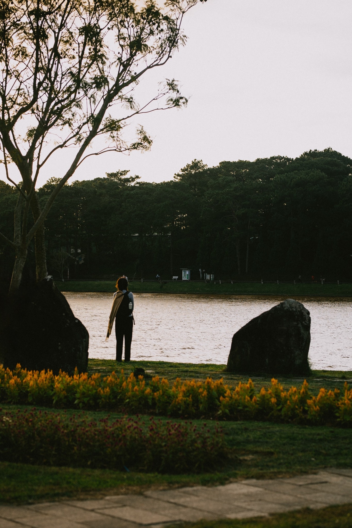 Dalat zdjęcie 12 Da Lat anh 12