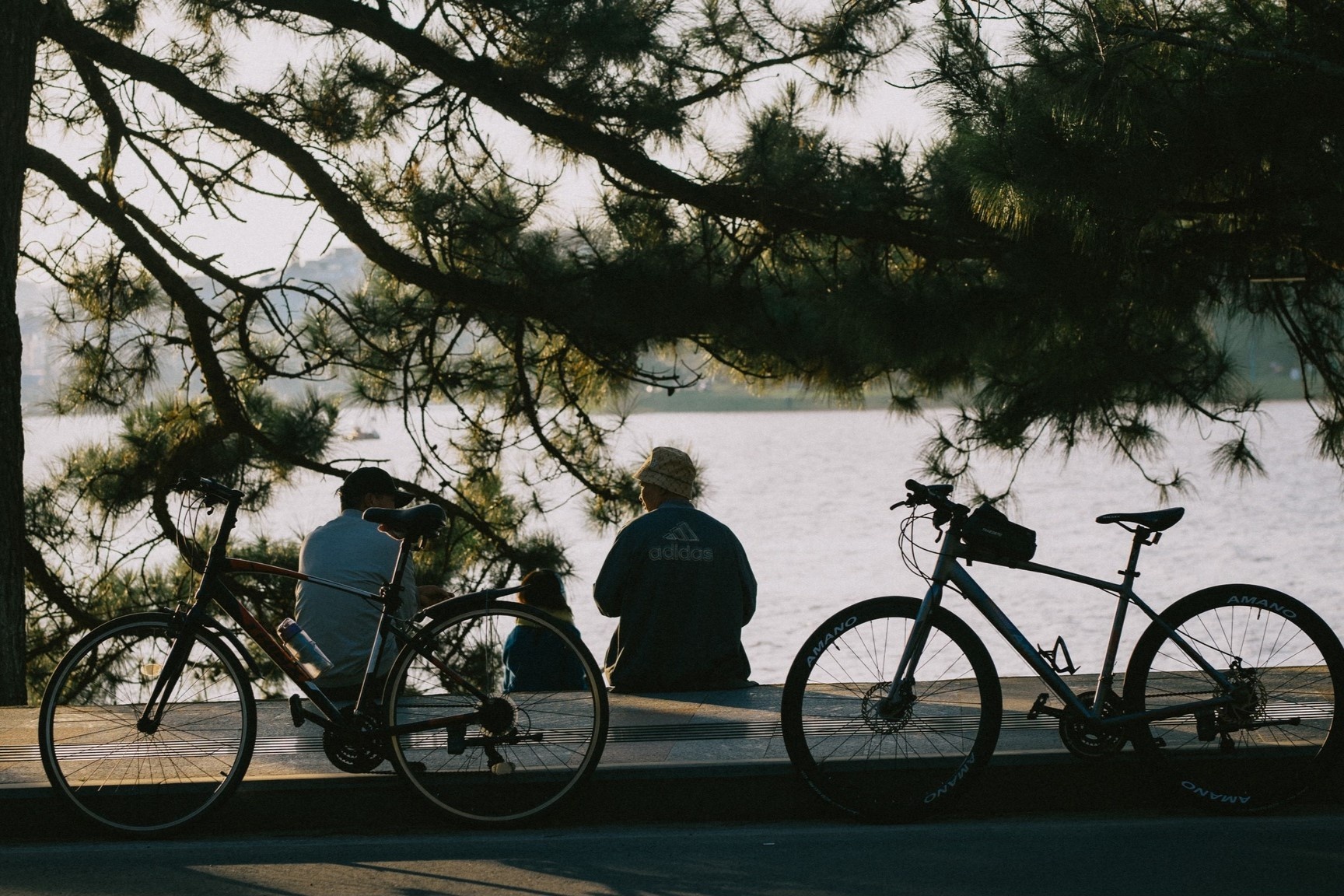 Dalat zdjęcie 15 Da Lat anh 15