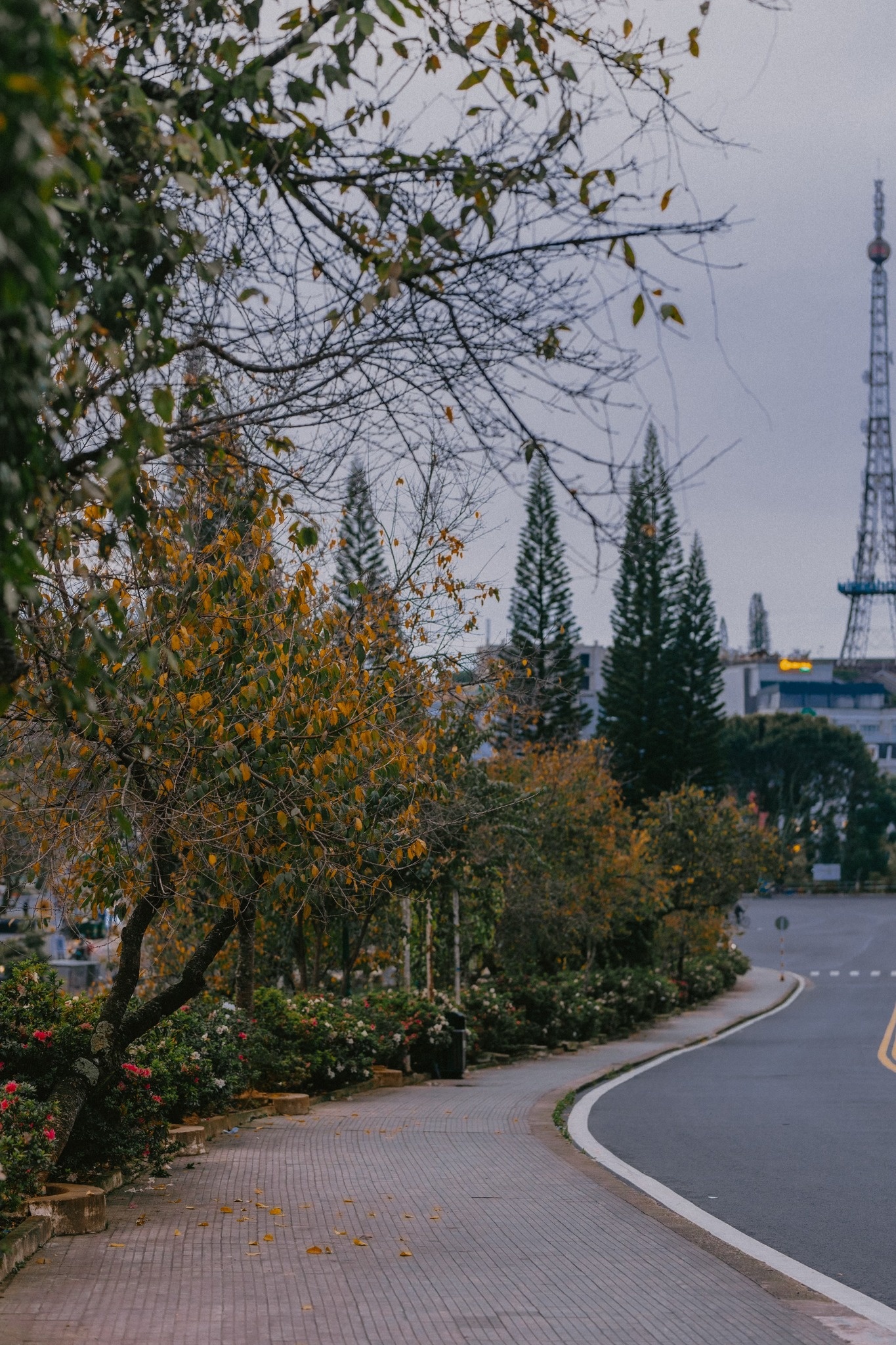 Dalat zdjęcie 17 Da Lat anh 17