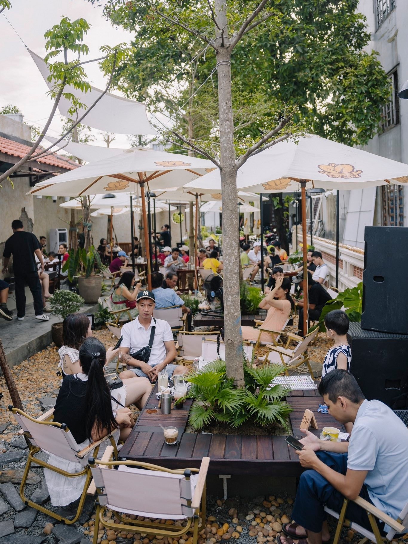 ca phe muoi chu Long anh 7