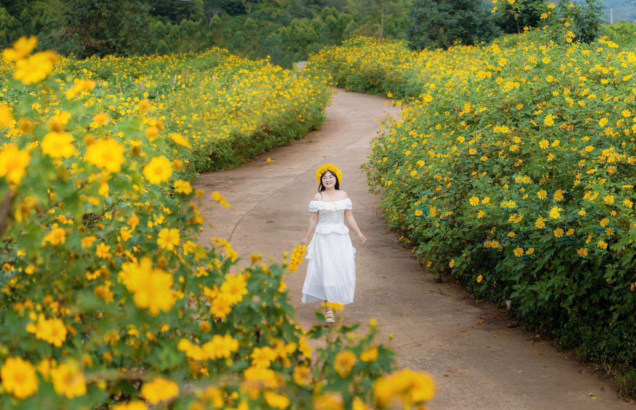 Nam Du lich quoc gia anh 9