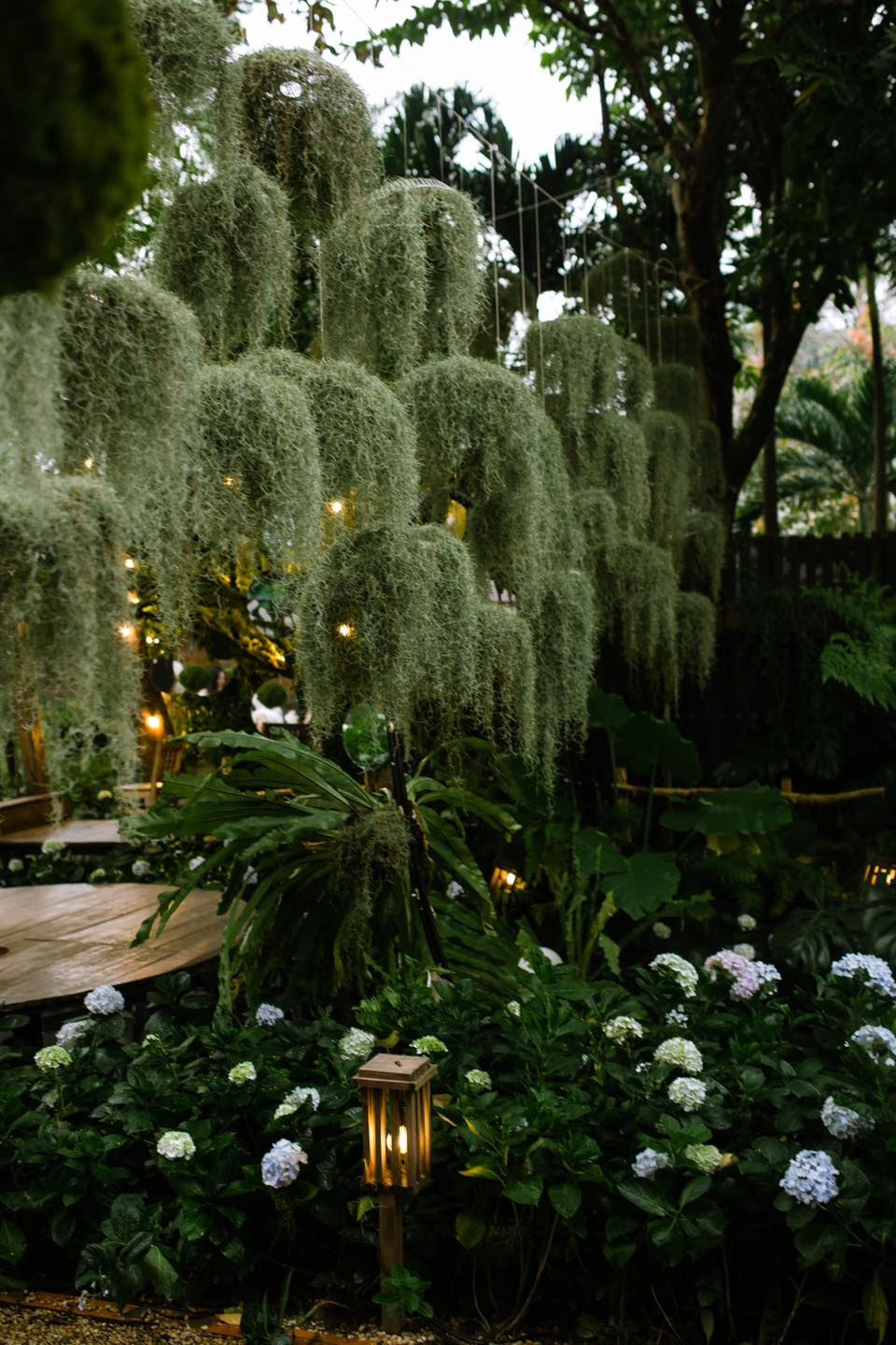 chay quan ca phe TP.HCM anh 16