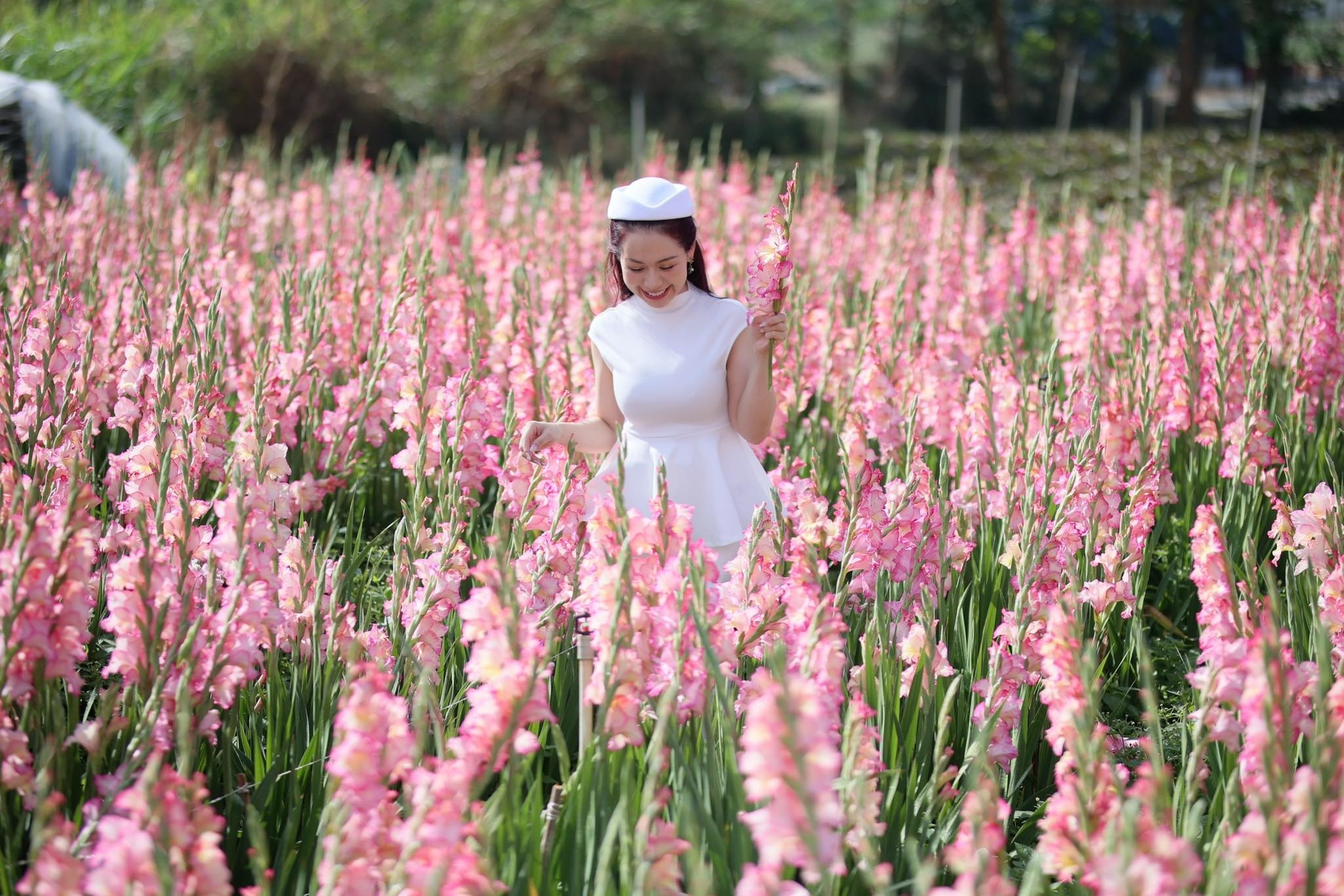 Vuon hoa lay on Da Lat bat ngo 'go von' khi thanh diem check-in 'hot' hinh anh