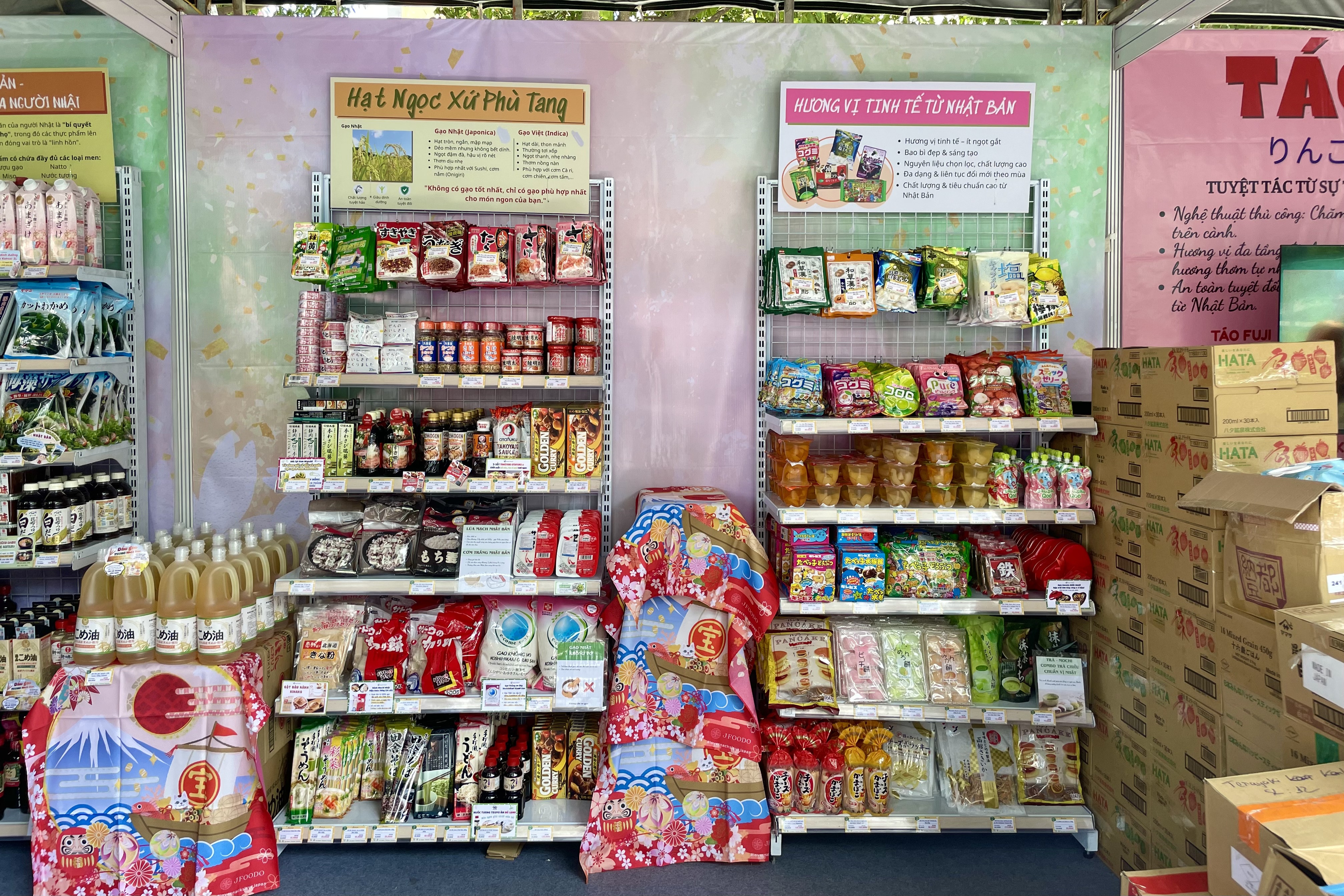 le hoi Viet - Nhat anh 2