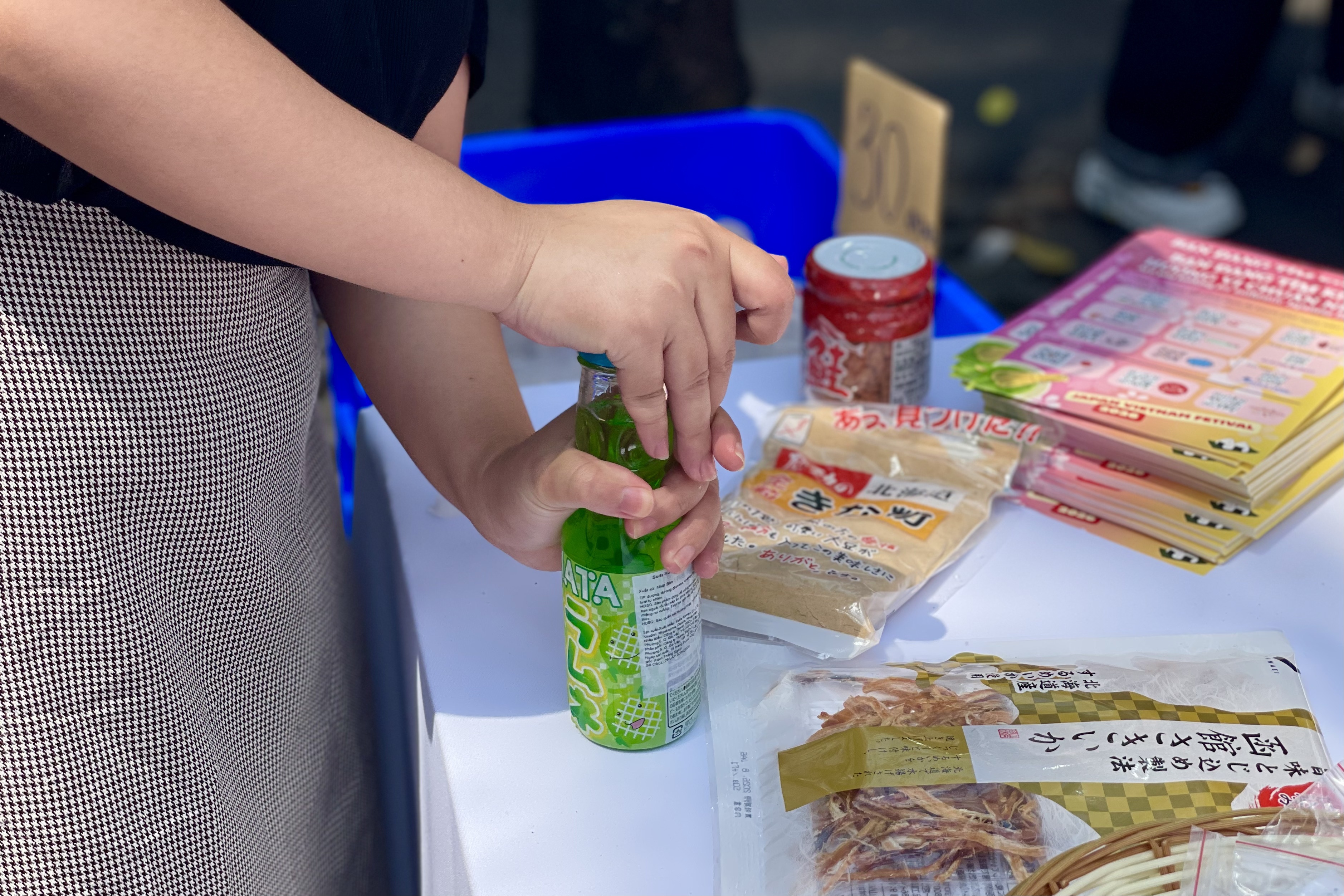 le hoi Viet - Nhat anh 5