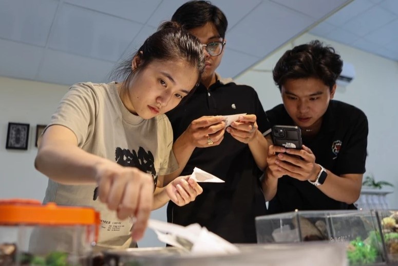 Ngay hoi Du lich TP.HCM anh 5