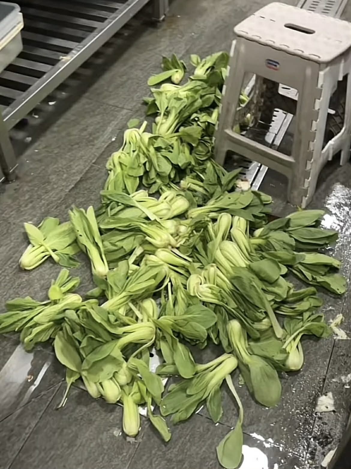 SPICY BOX ảnh 2 SPICY BOX anh 2