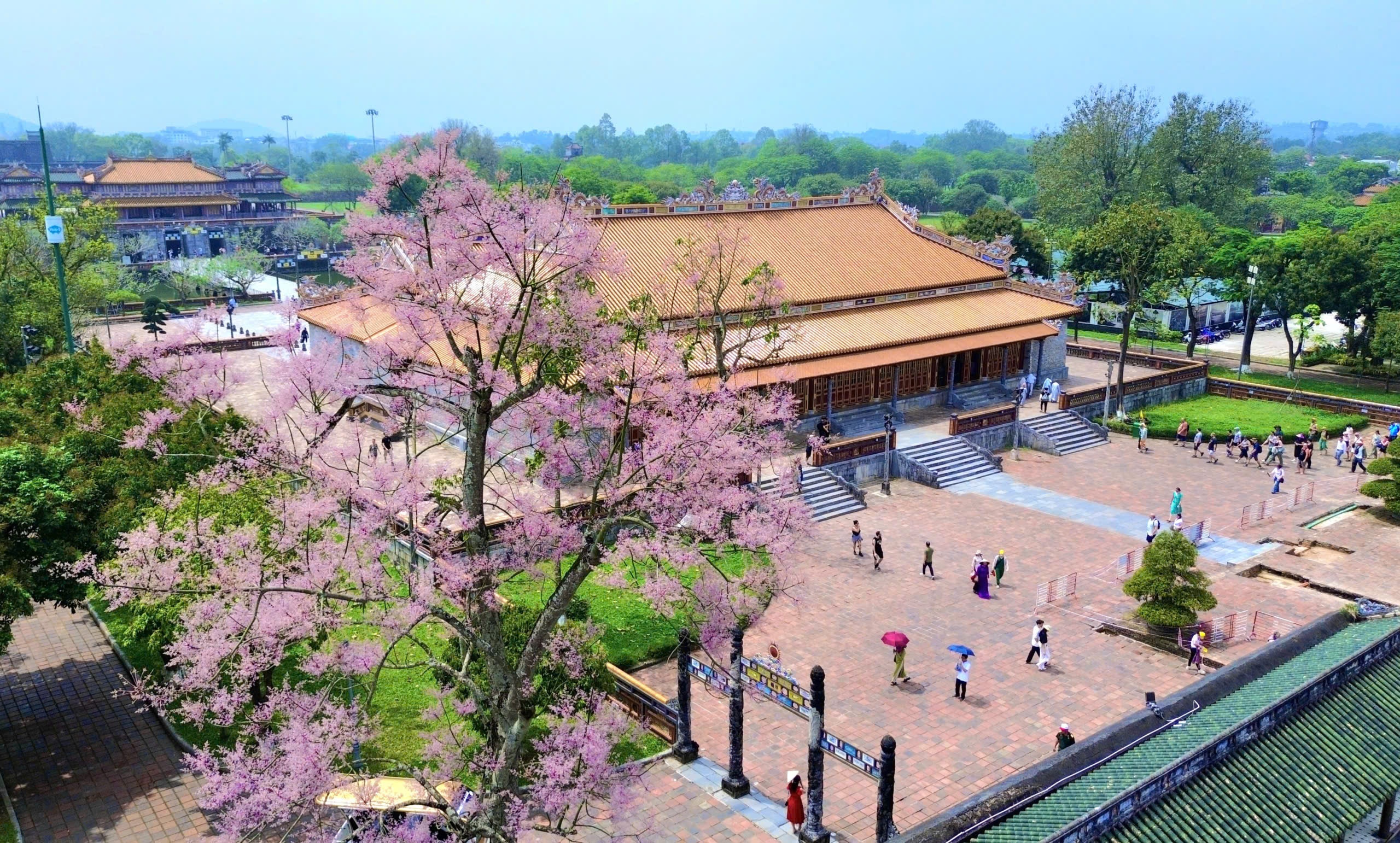 Hoang cung Hue anh 1