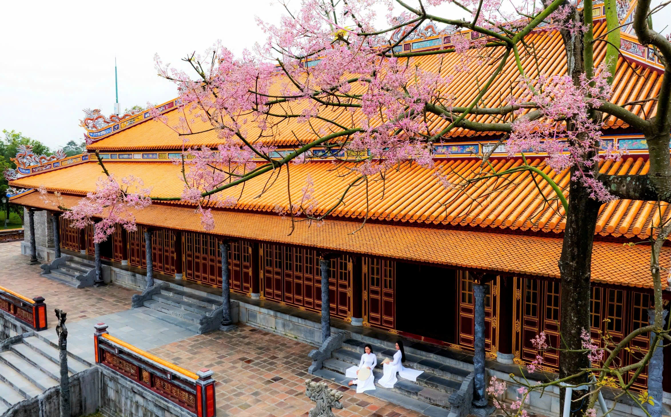 Hoang cung Hue anh 2