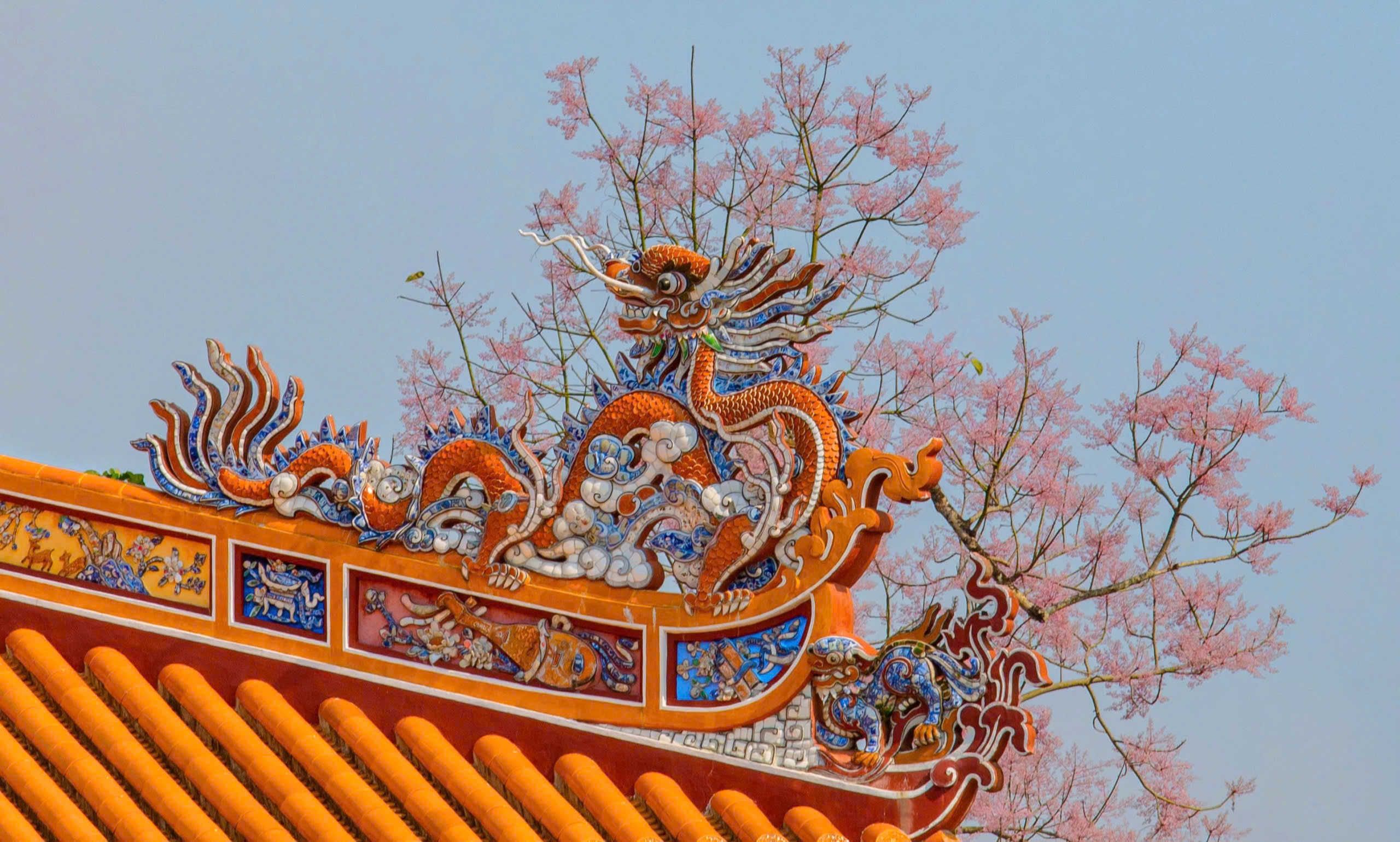 Hoang cung Hue anh 3