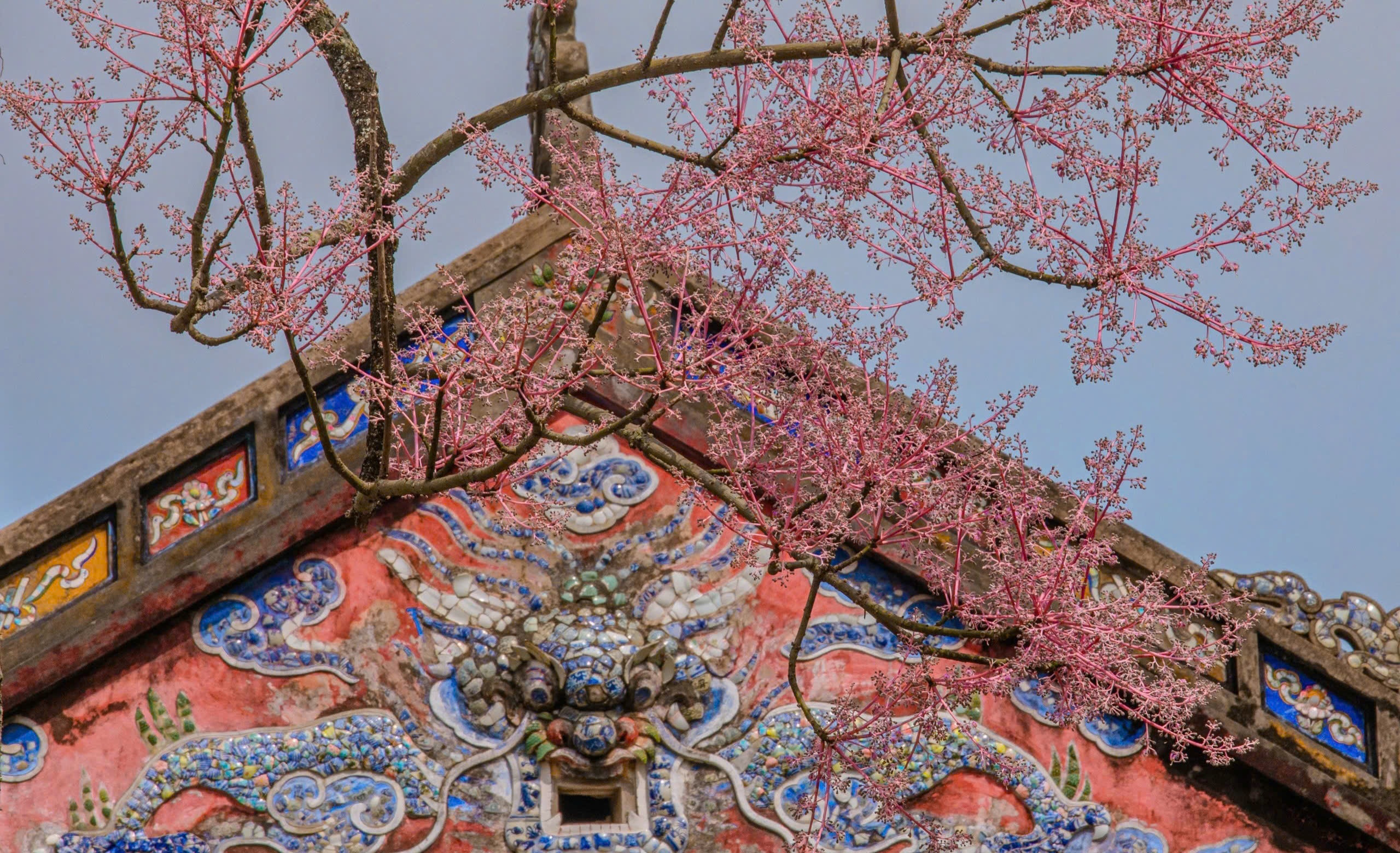 Hoang cung Hue anh 5