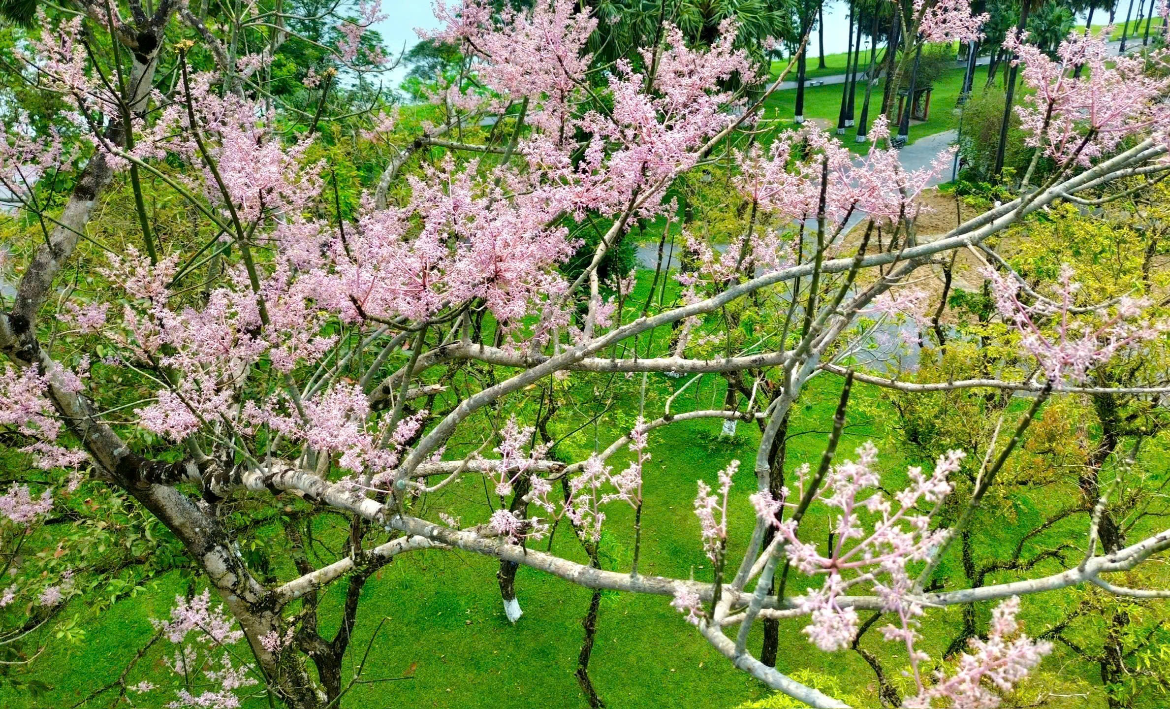 Hoang cung Hue anh 9