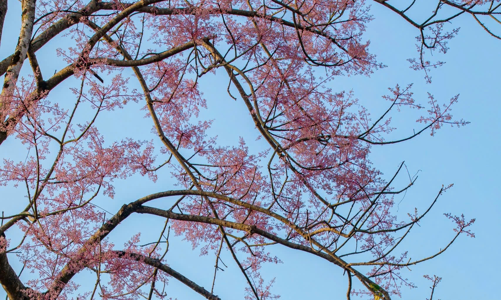 Hoang cung Hue anh 10