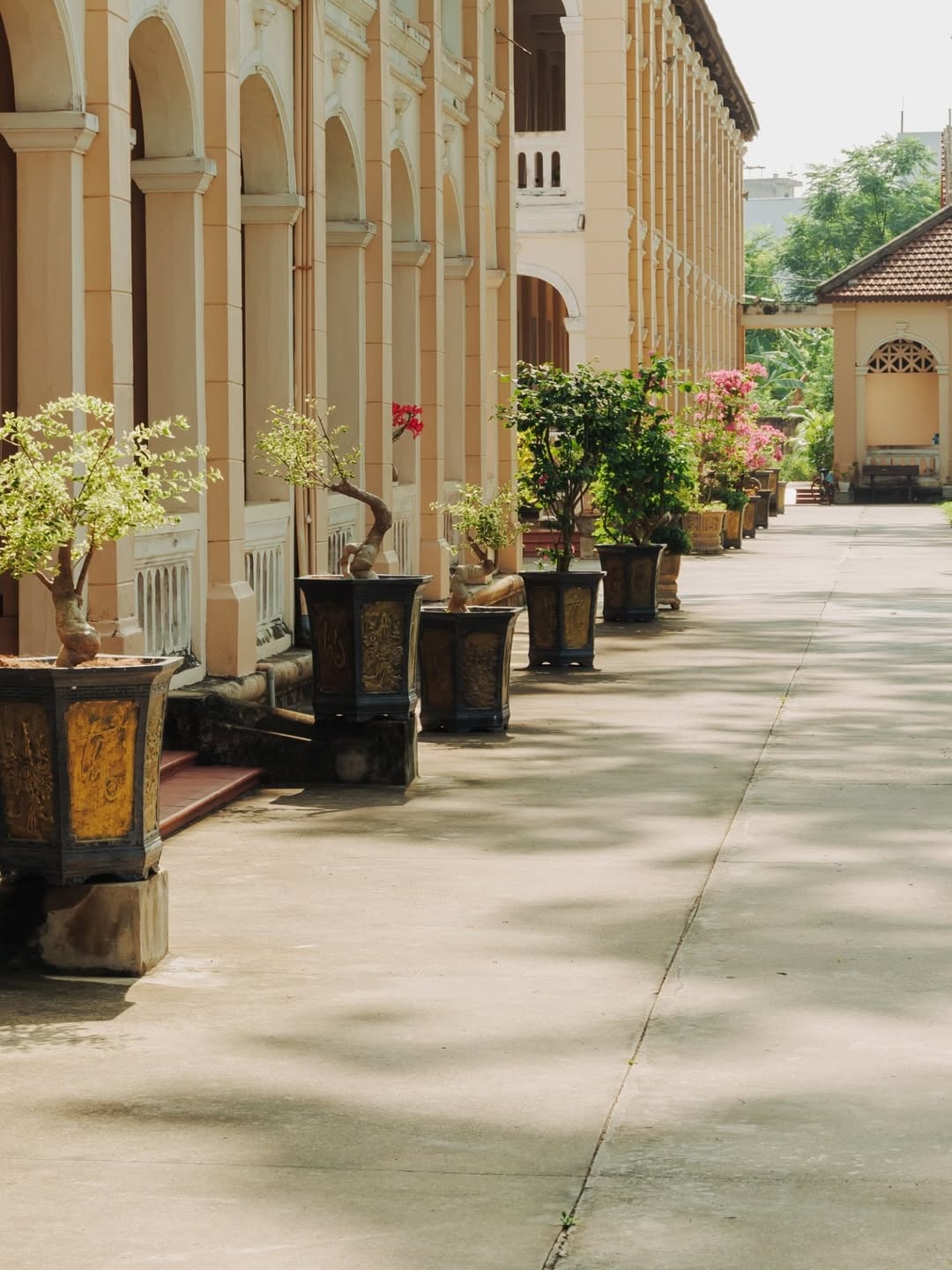 tieu chung vien Lang Song anh 9