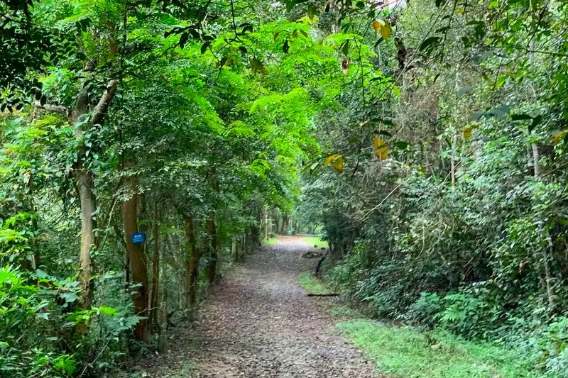 Vuon Quoc gia Tam Dao anh 1