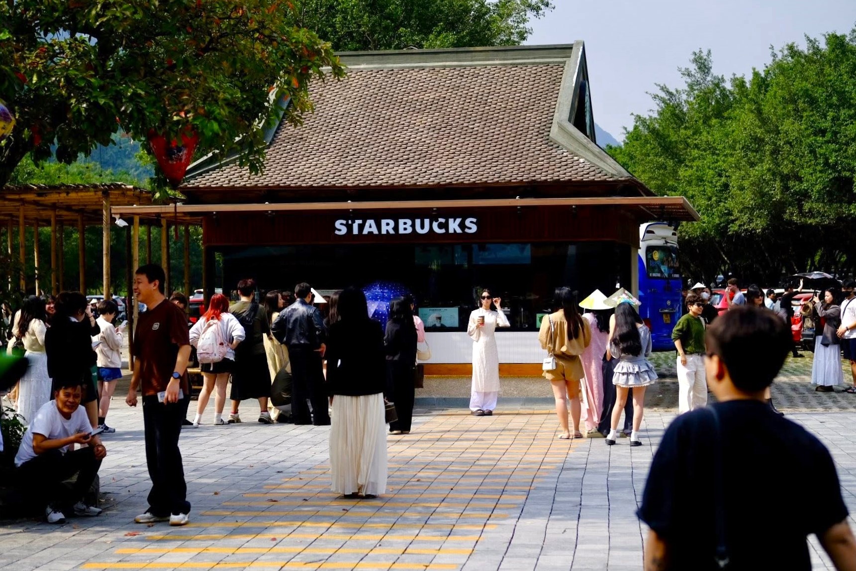 Starbucks anh 5