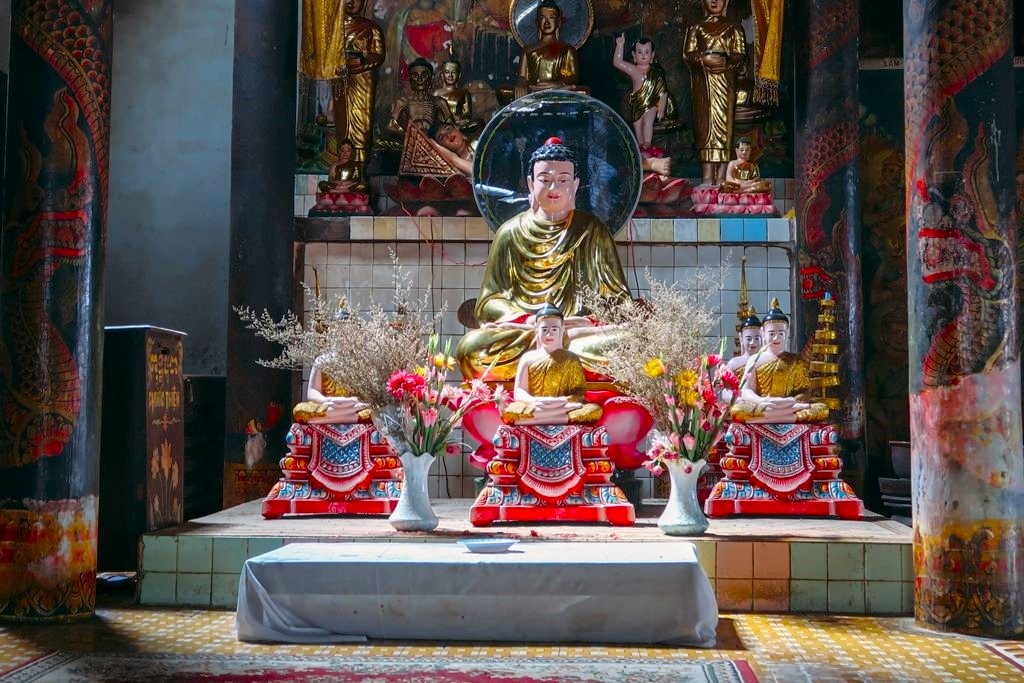 Heo 5 móng ảnh 12 Heo 5 mong anh 12