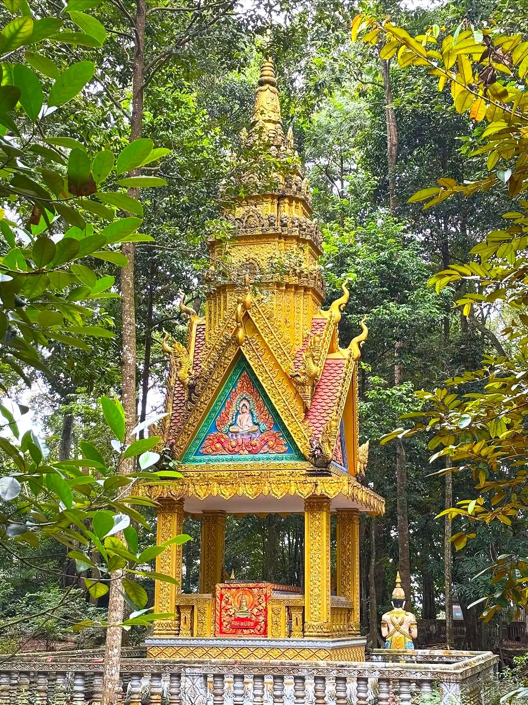 Heo 5 móng ảnh 16 Heo 5 mong anh 16