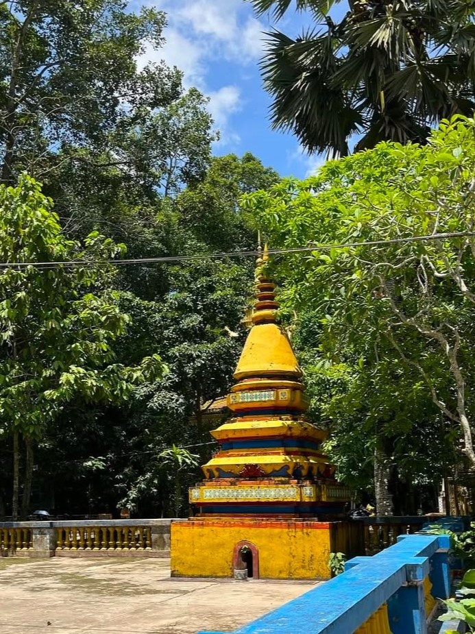 Heo 5 móng ảnh 17 Heo 5 mong anh 17
