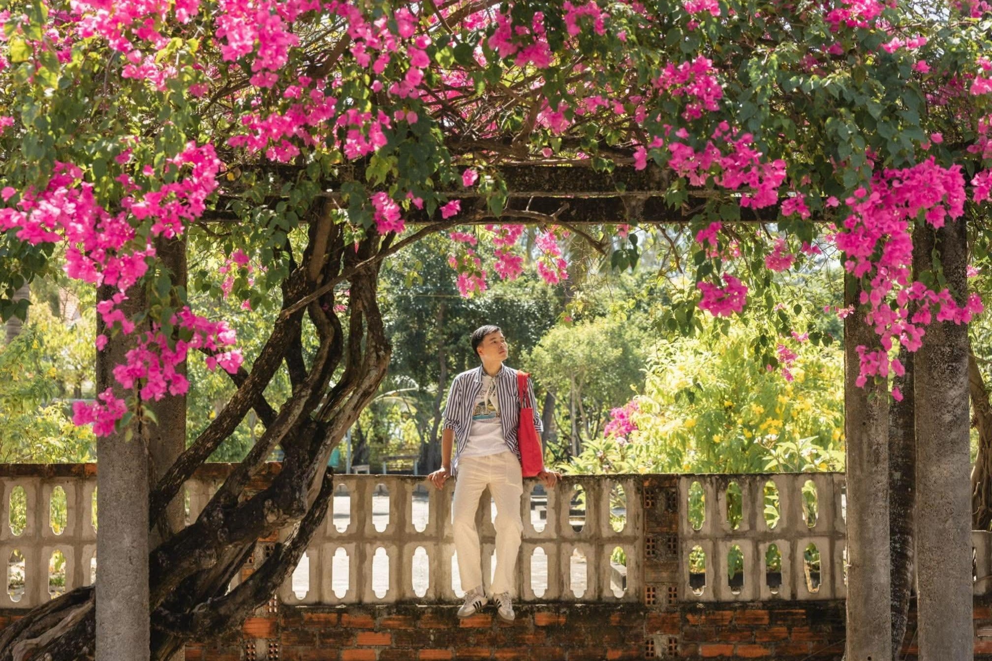 lang phong Quy Hoa anh 18