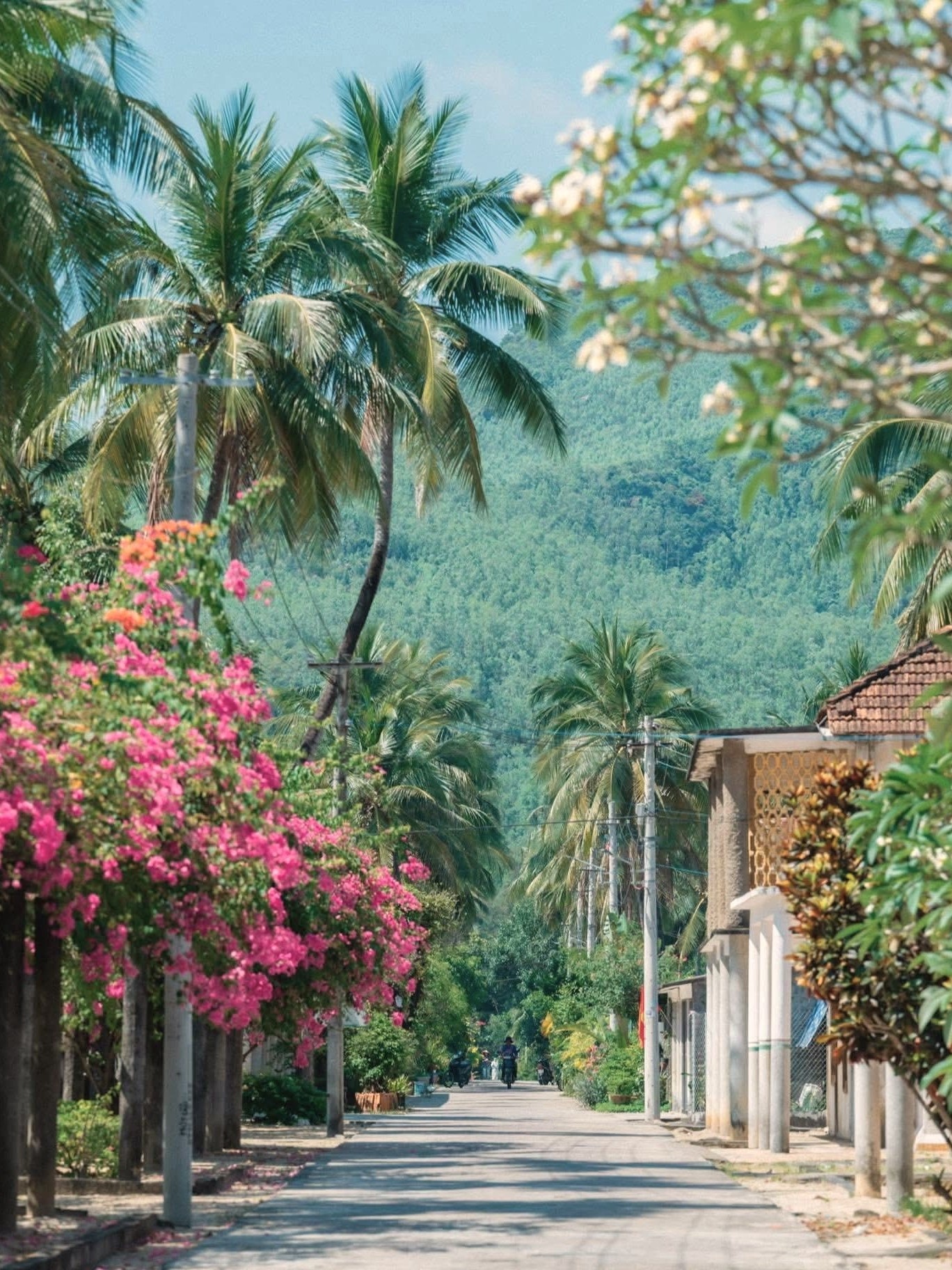 làng phong Quy Hòa ảnh 8 lang phong Quy Hoa anh 8