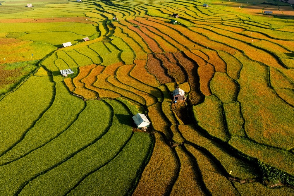 lua chin Mang Den anh 7