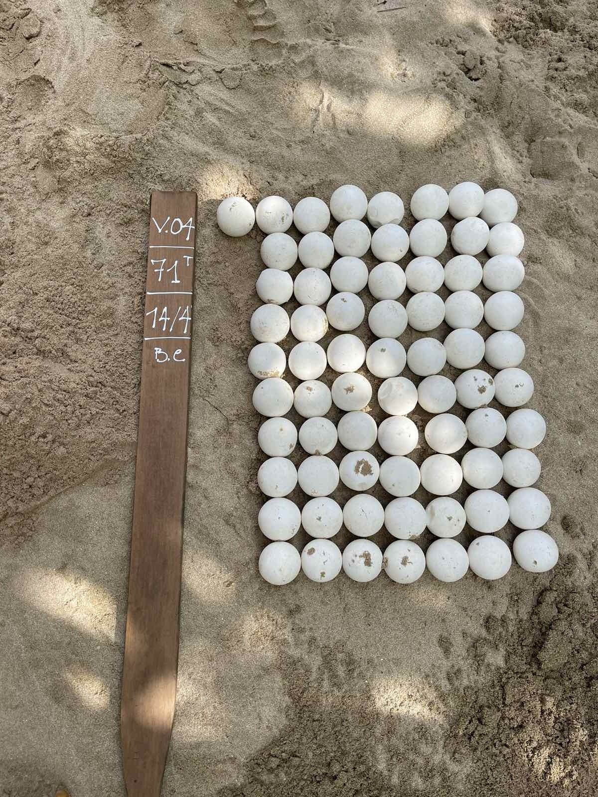 Côn Đảo ảnh 3 Côn Đảo ảnh 3