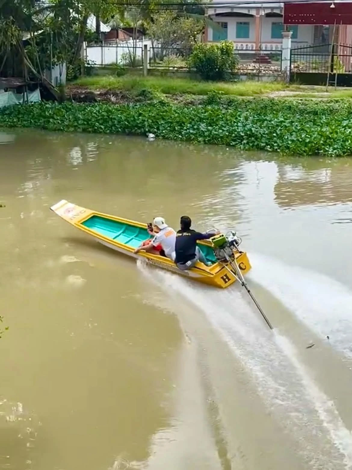 vỏ l&atilde;i  ảnh 1