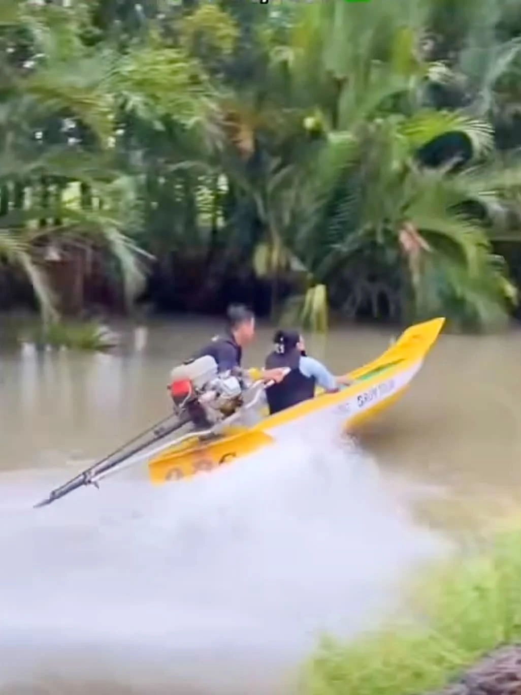 vỏ l&atilde;i ảnh 2