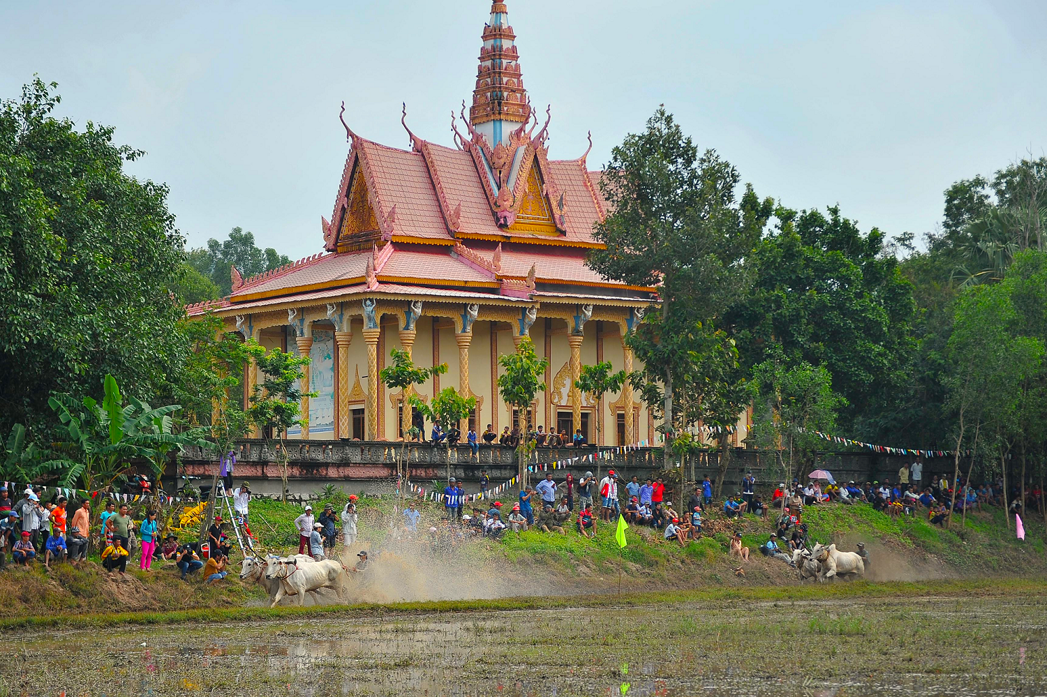 đua b&ograve;,  An Giang,  ch&ugrave;a R&ocirc; ảnh 2
