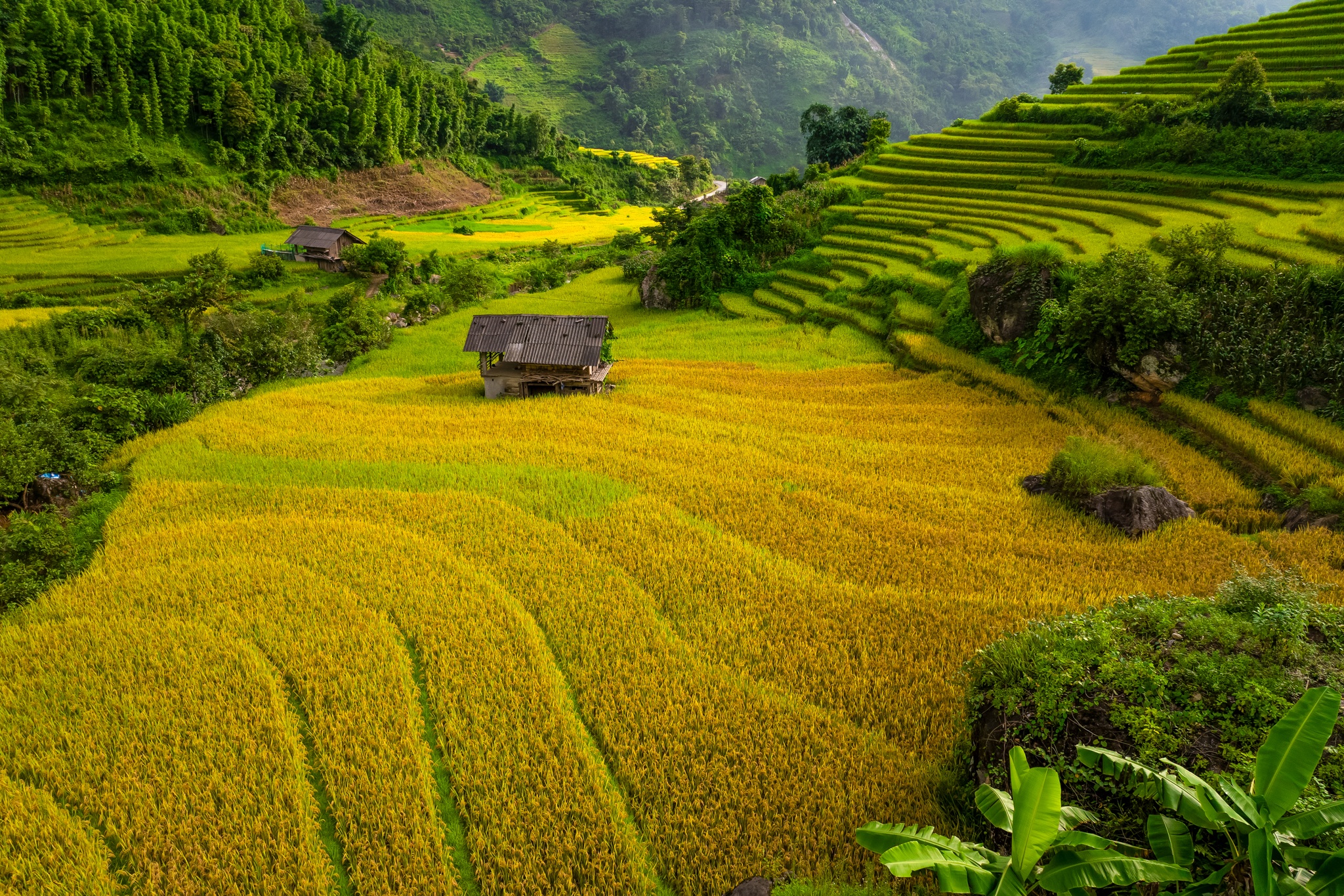 Nậm Cang  ảnh 7