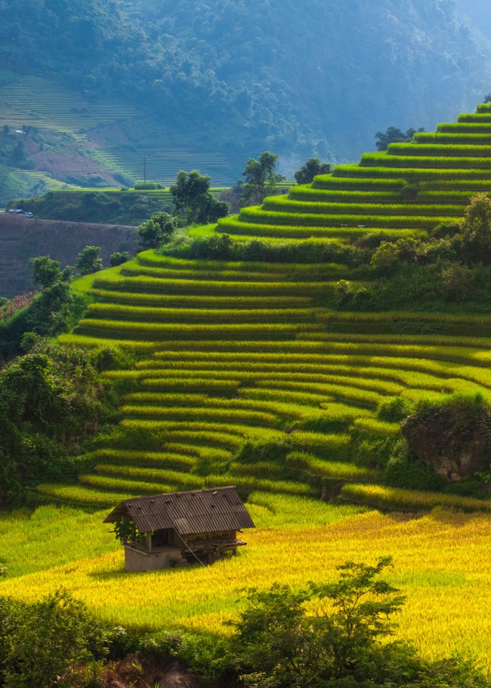 Nậm Cang ảnh 8 Nậm Cang ảnh 8