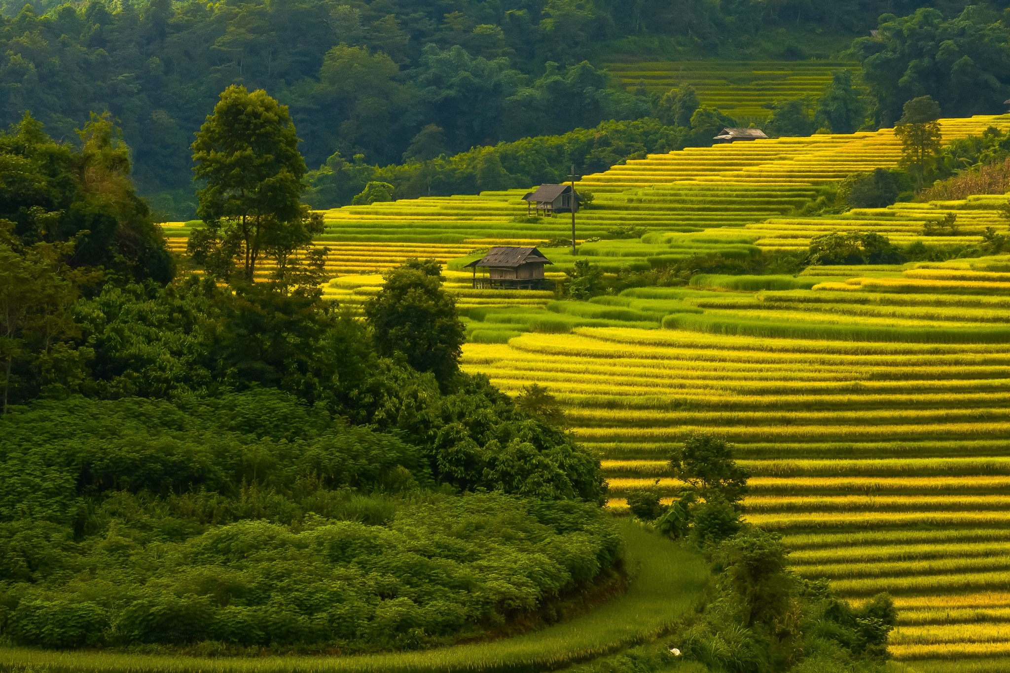 Nậm Cang  ảnh 1
