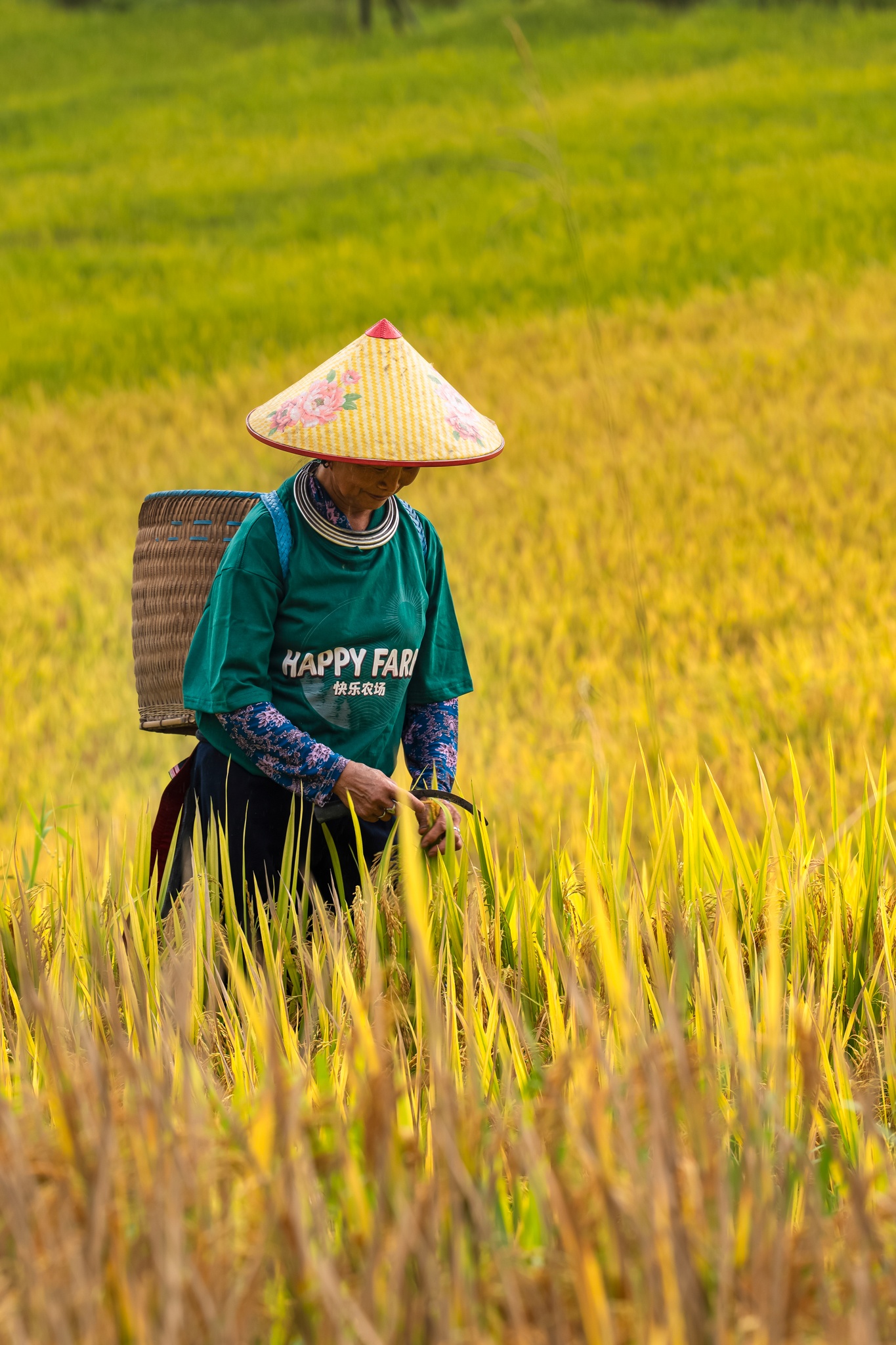 Nậm Cang ảnh 5 Nậm Cang ảnh 5