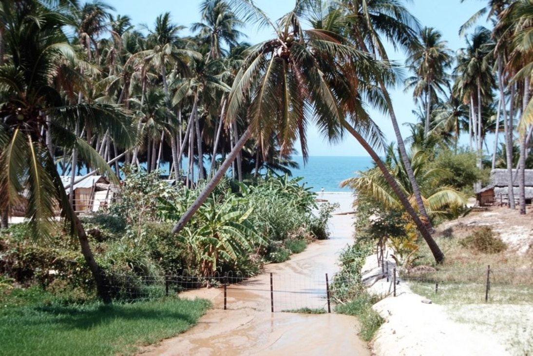 Mũi N&eacute; ảnh 4
