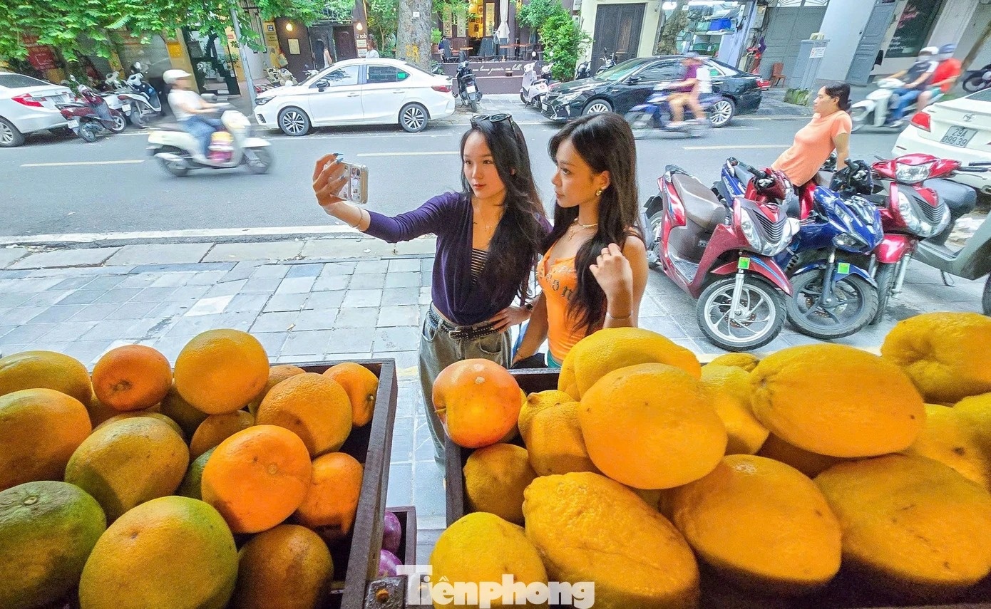 quán cà phê ảnh 3 quán cà phê ảnh 3