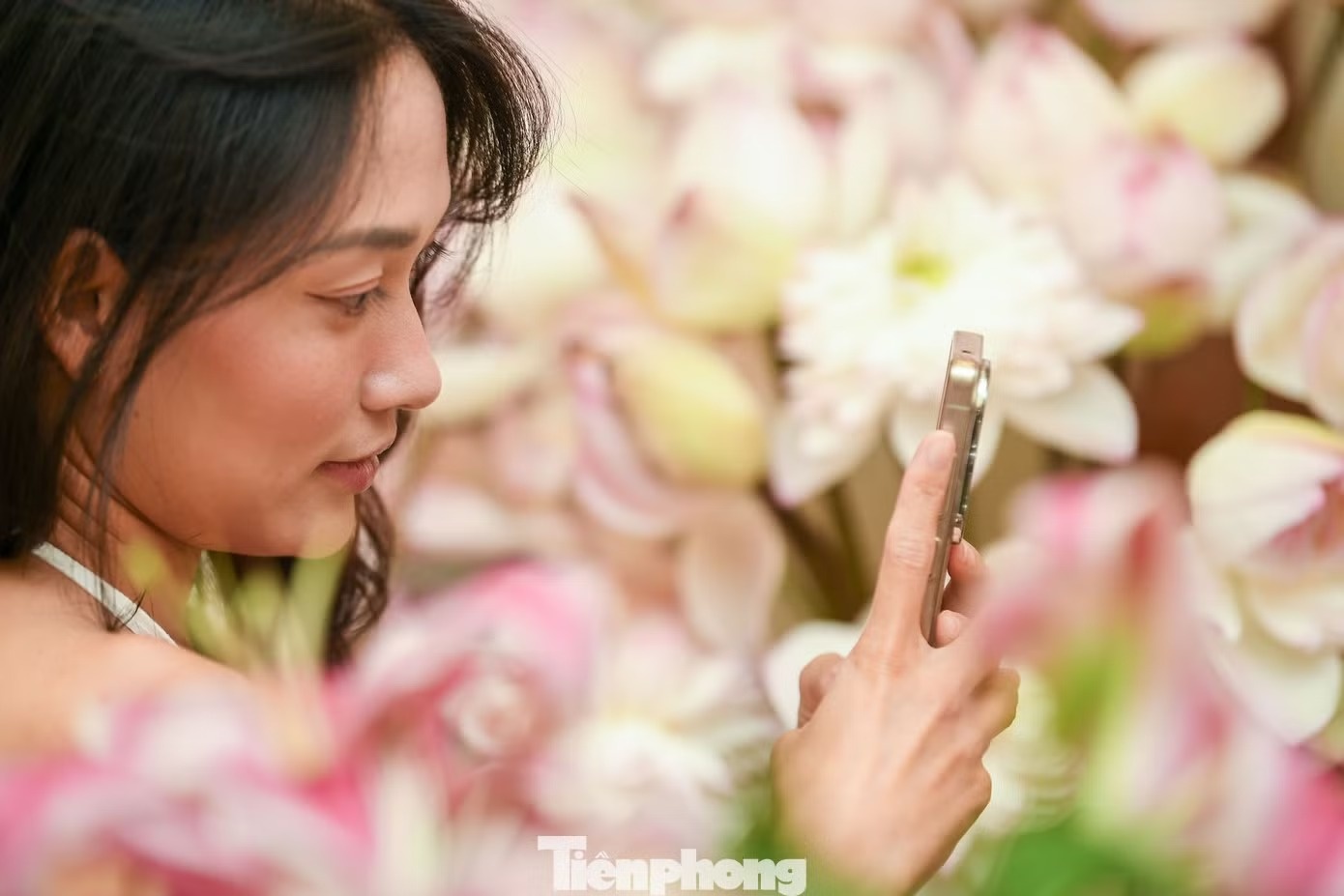 quán cà phê ảnh 11 quán cà phê ảnh 11