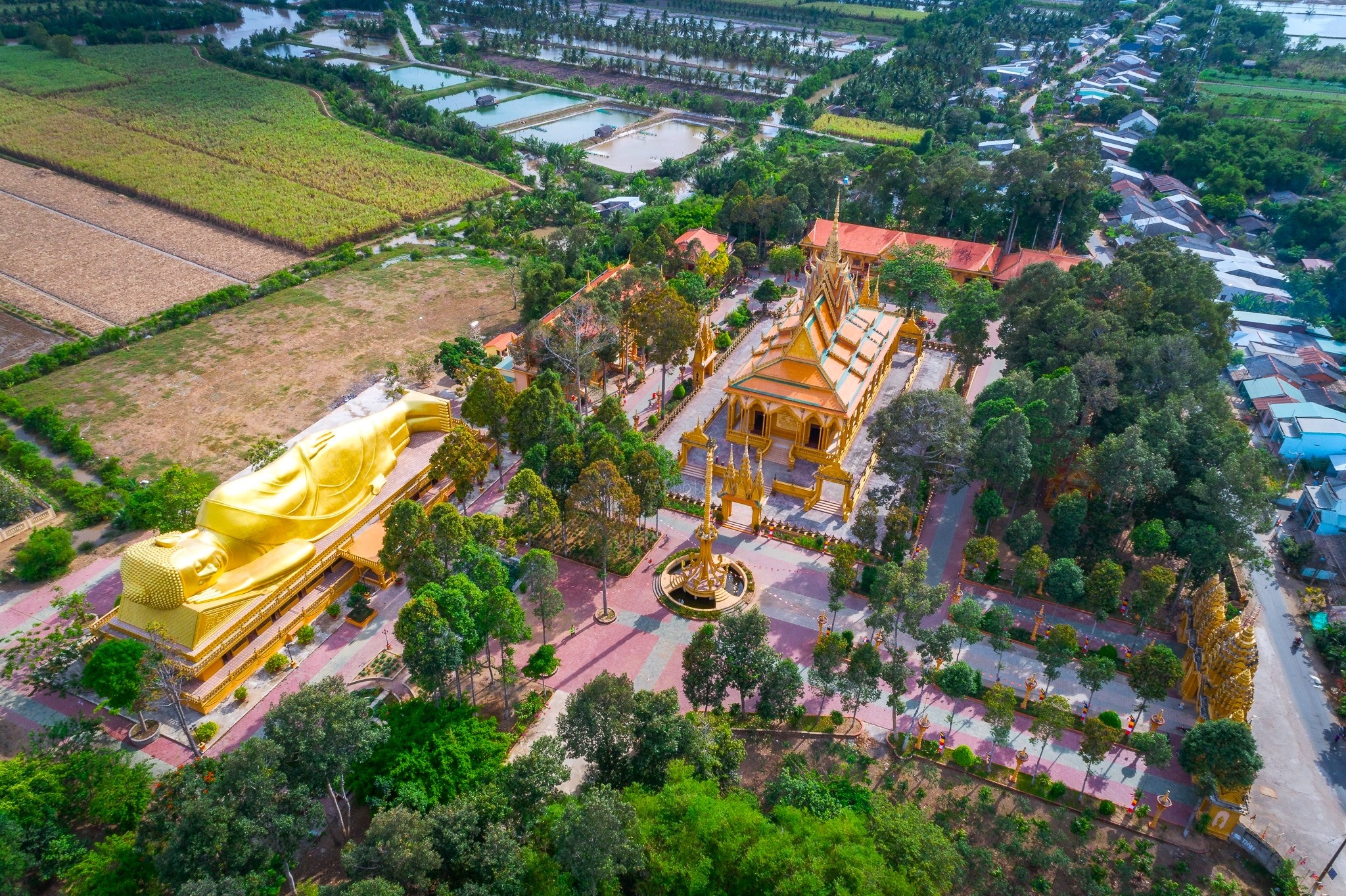Phương Mỹ Chi ảnh 2