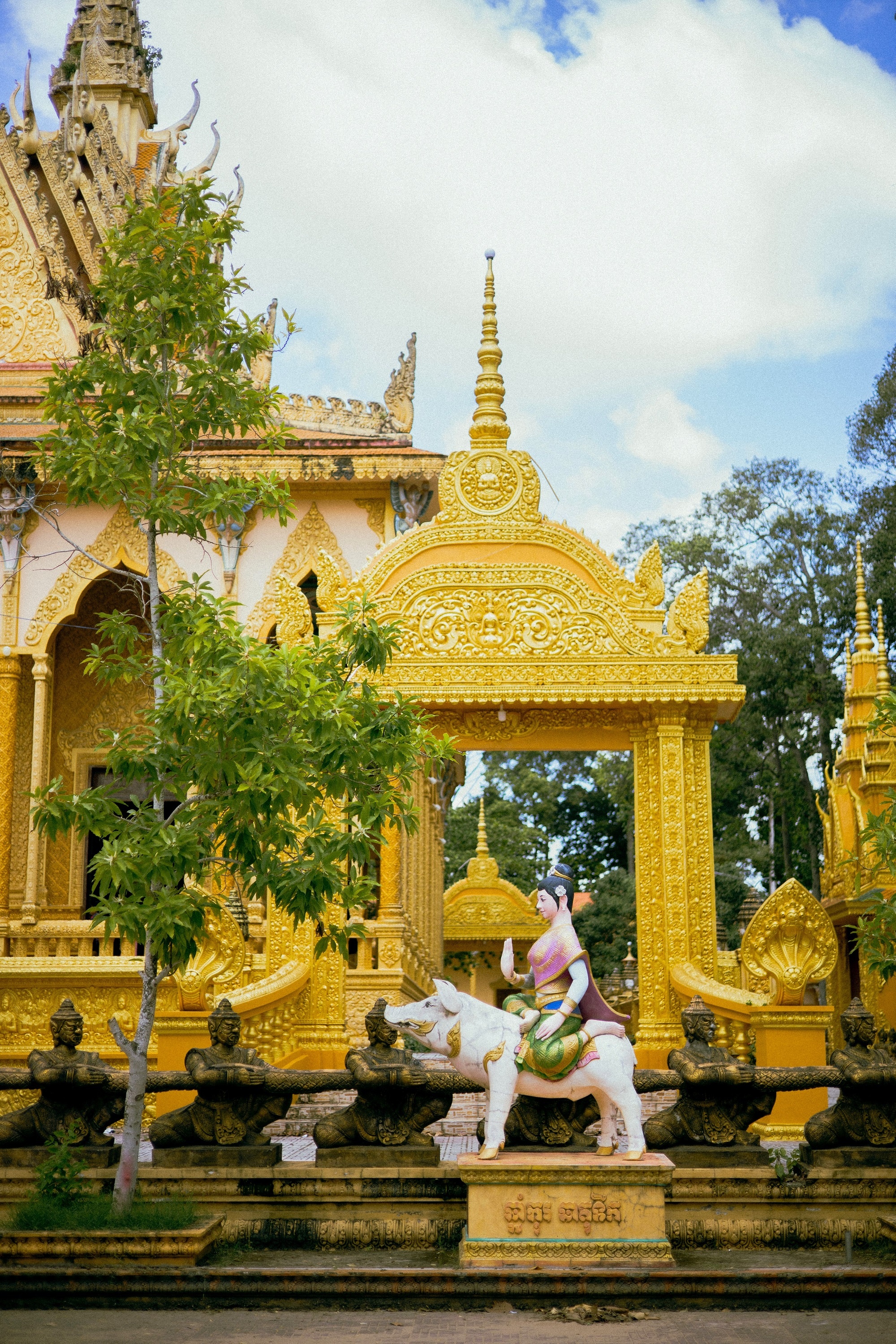Tr&agrave; Vinh ảnh 4