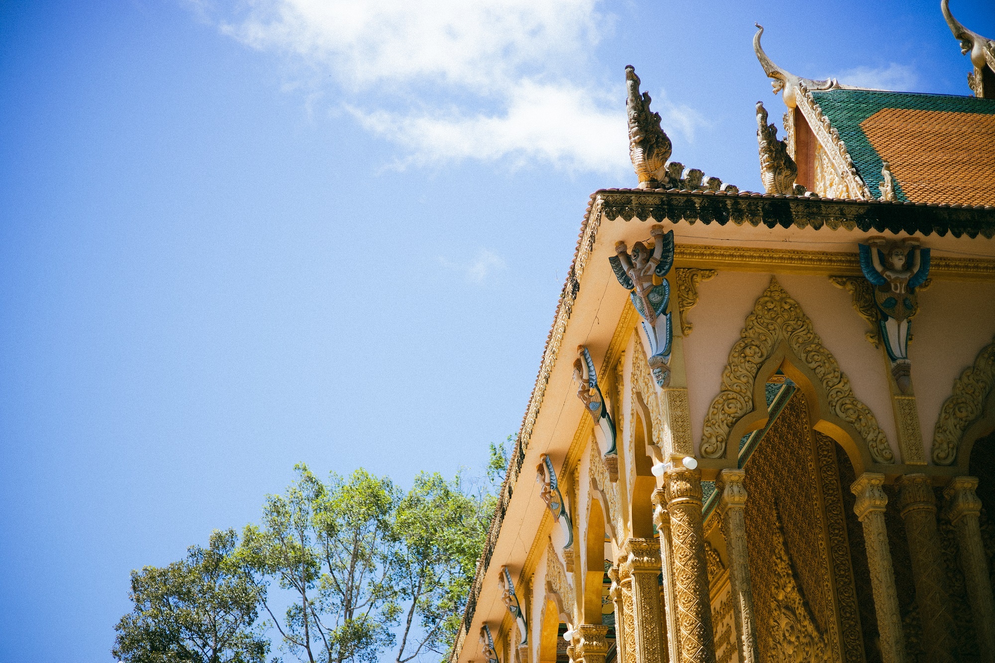 Tr&agrave; Vinh ảnh 12