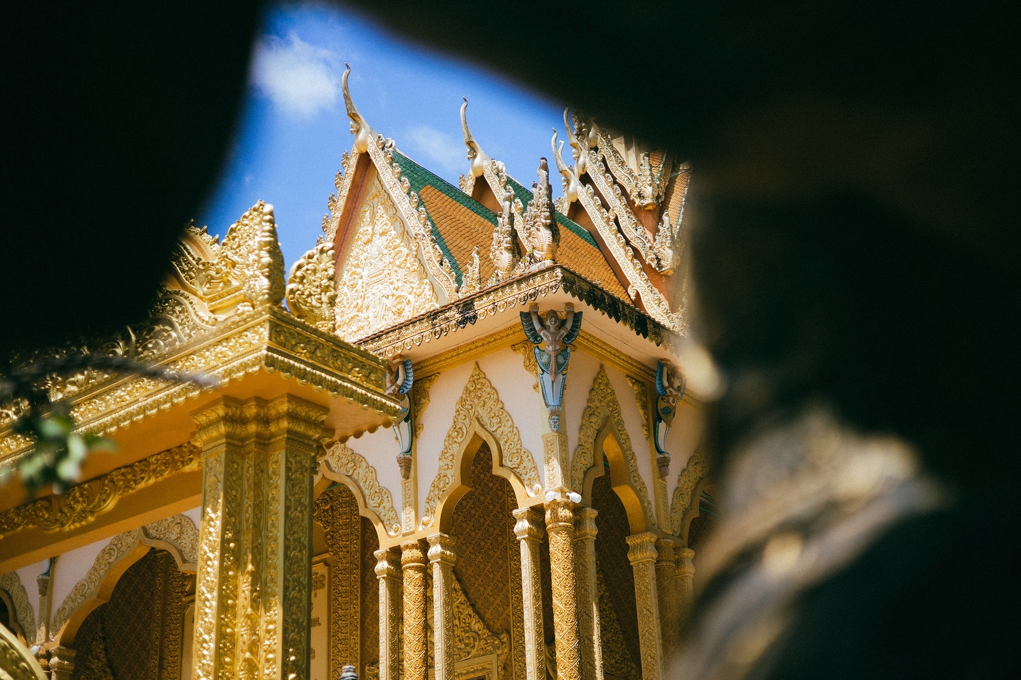 Tr&agrave; Vinh ảnh 5